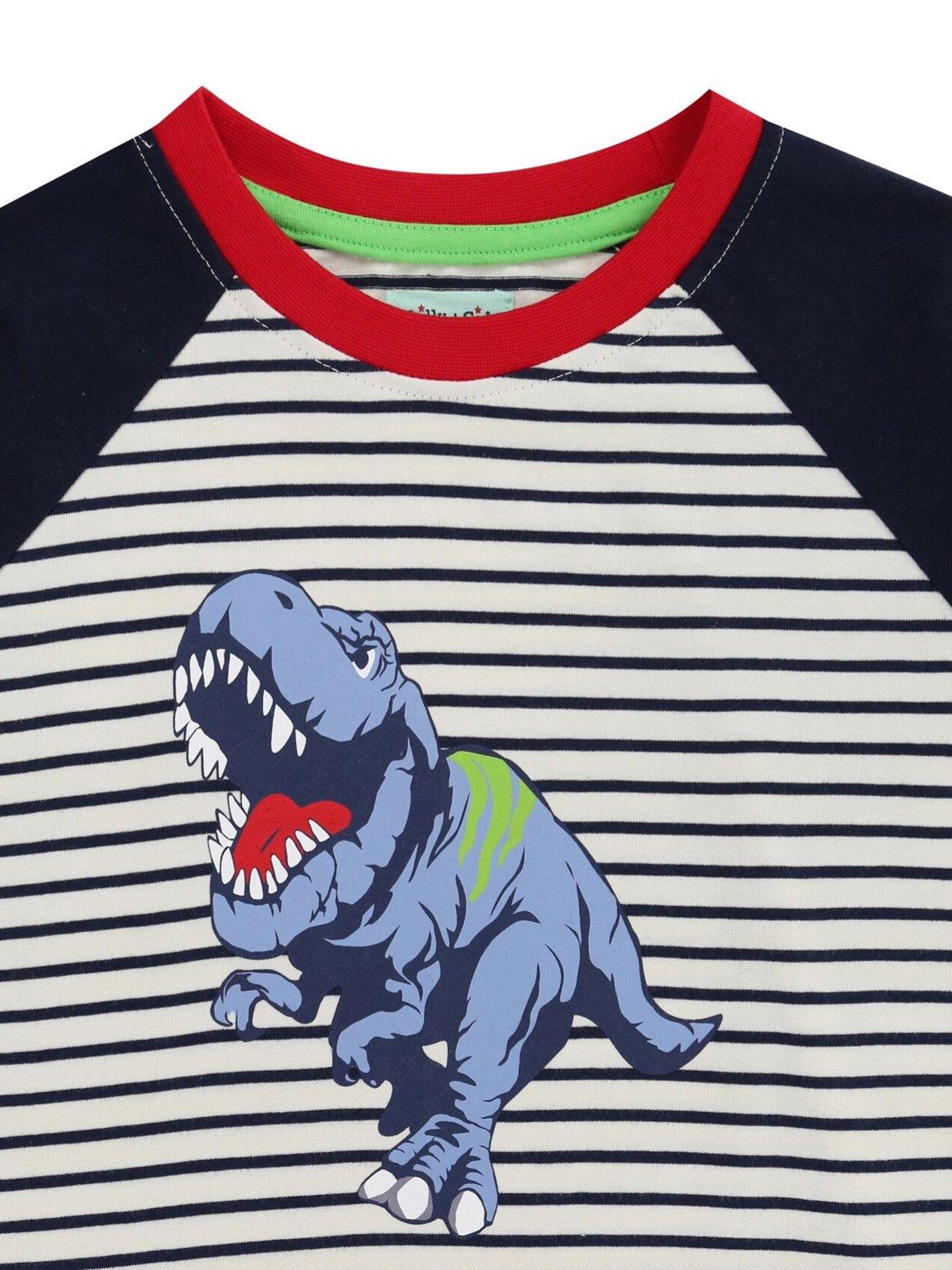  image of lilly-sid-boys-dino-raglan-top-multi