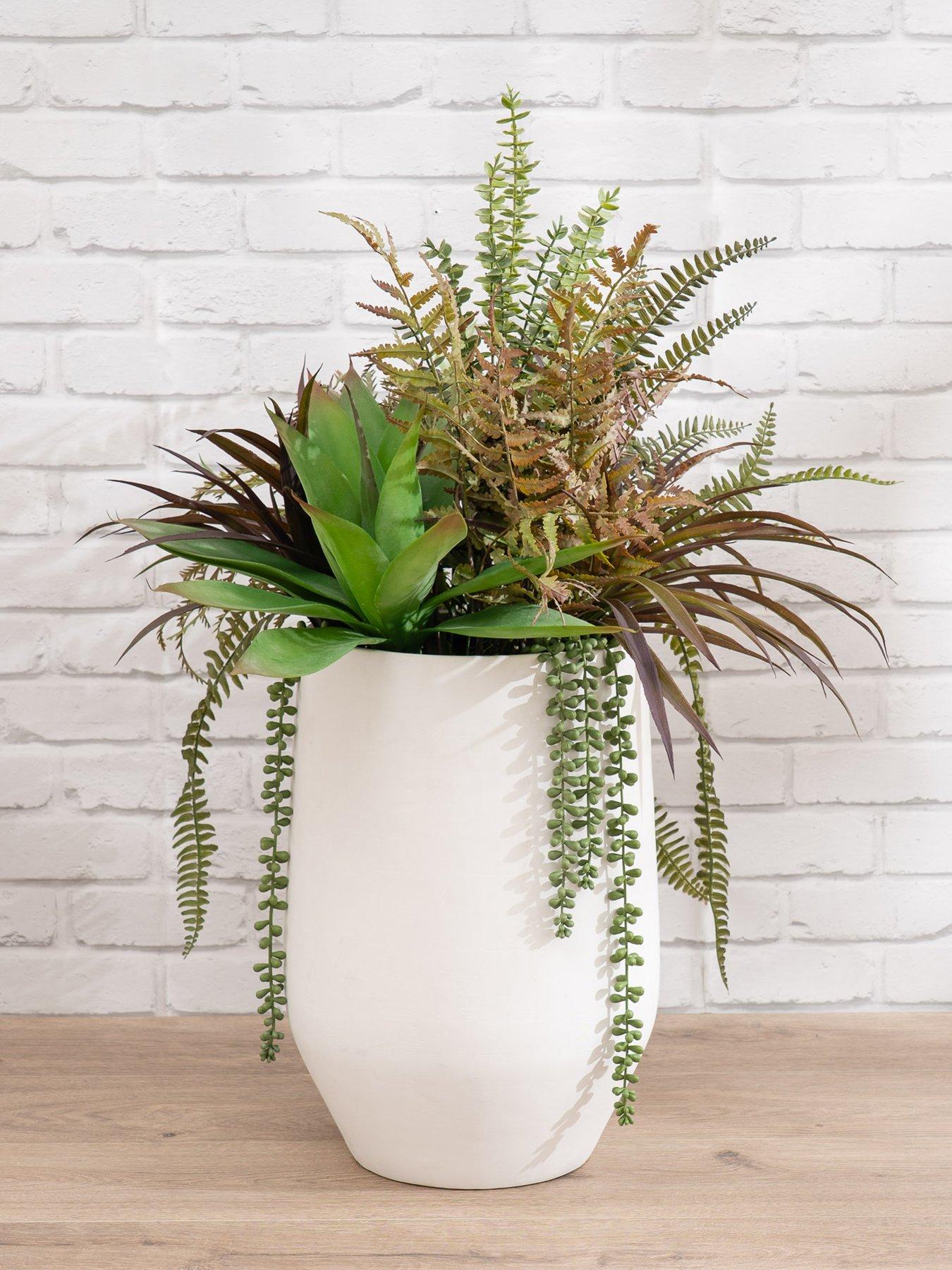 undefined 90cm Fern/Agave Mixed Container White