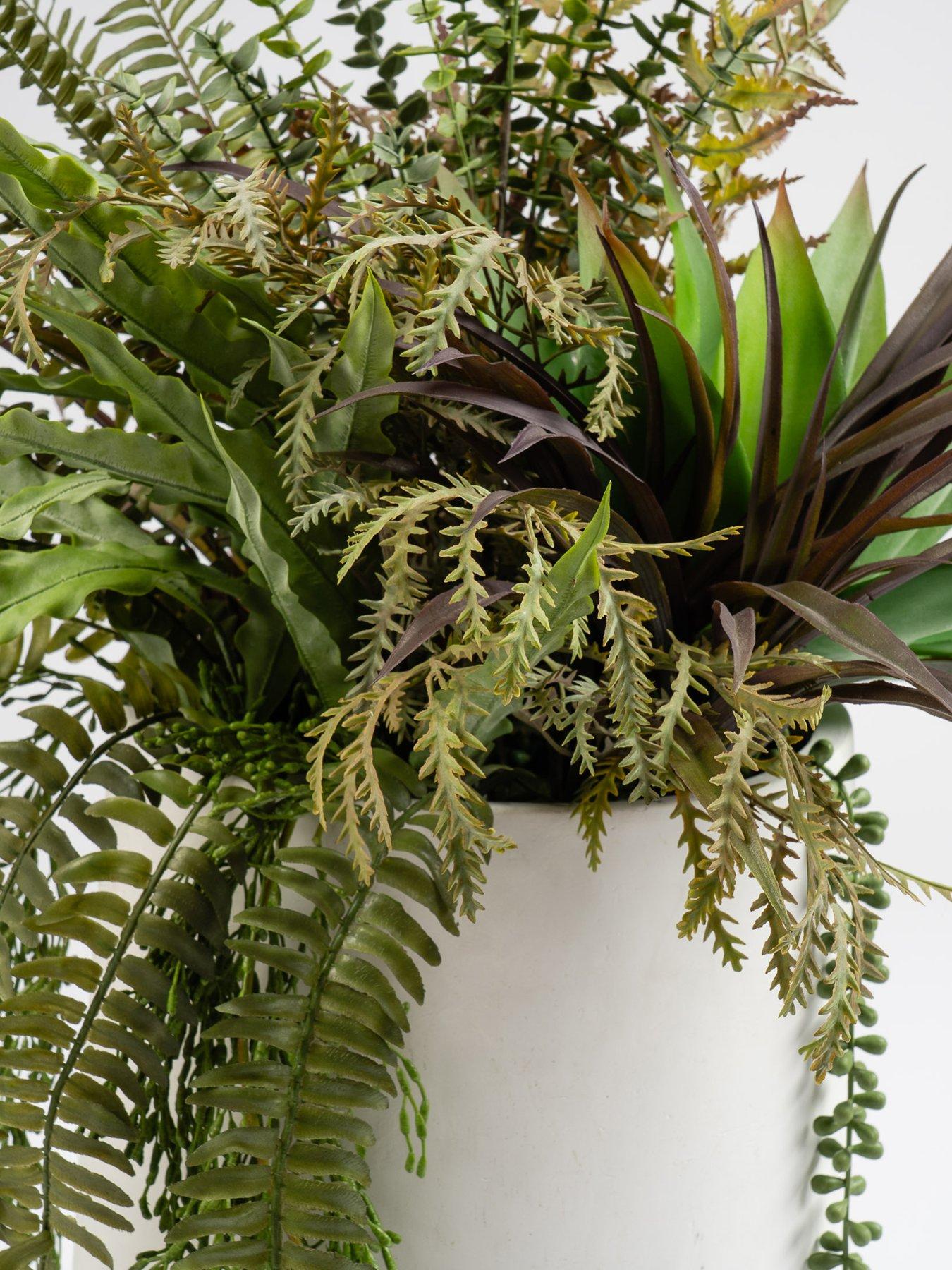 Image 2 of 3 of Scottish Everlastings 90cm Fern/Agave Mixed Container White