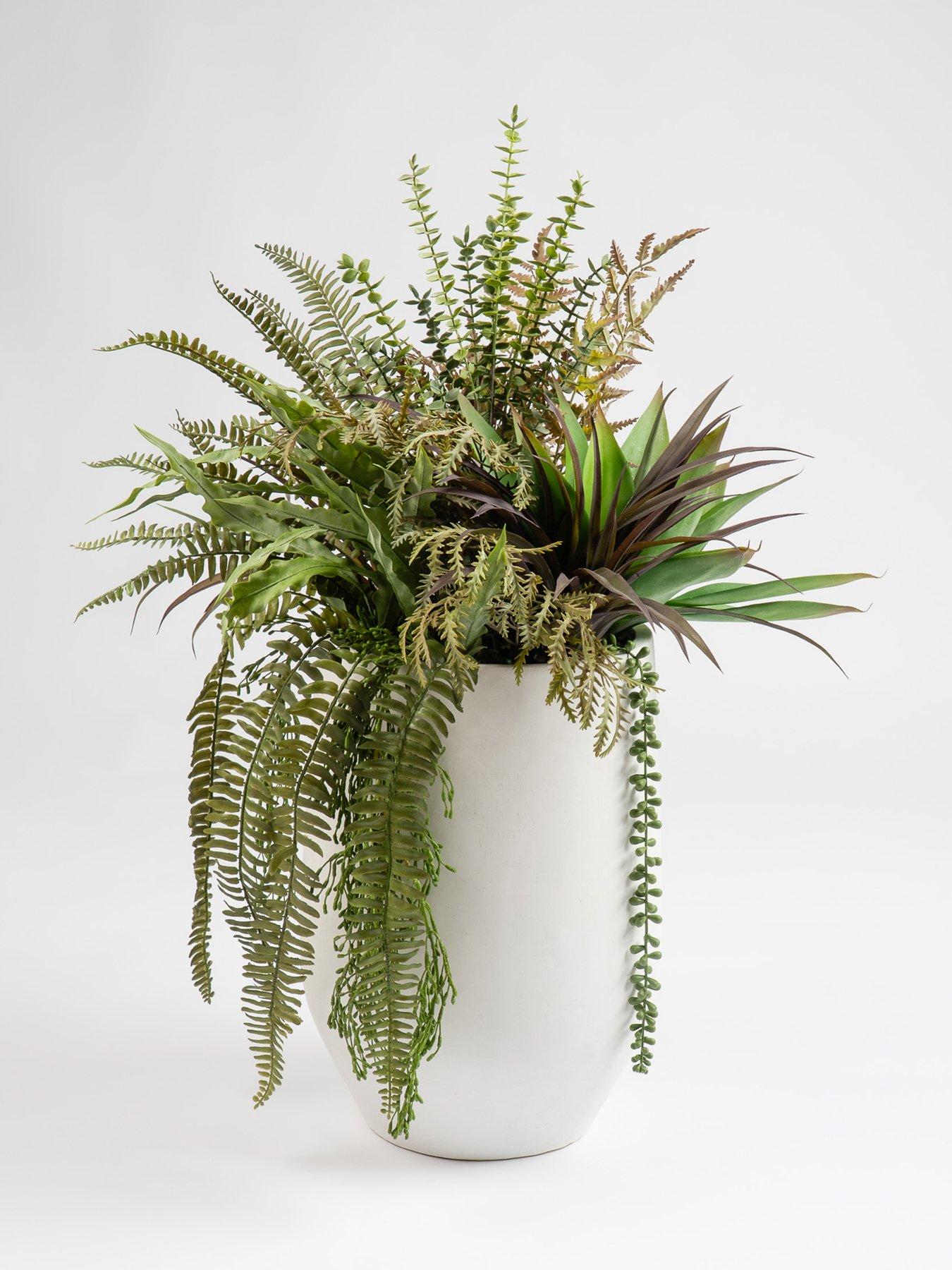 Image 3 of 3 of Scottish Everlastings 90cm Fern/Agave Mixed Container White