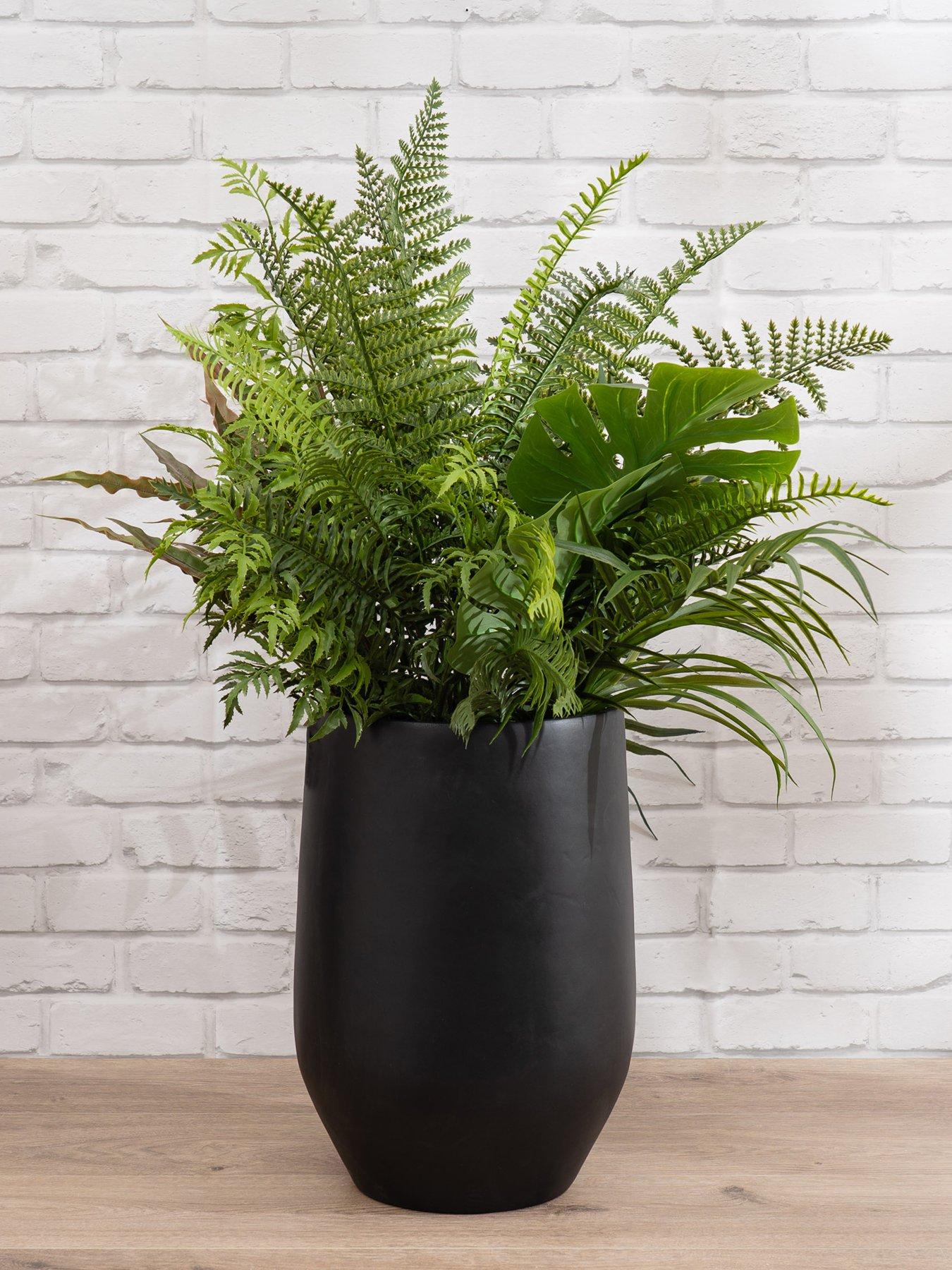 undefined 102cm Mixed Fern Container Black