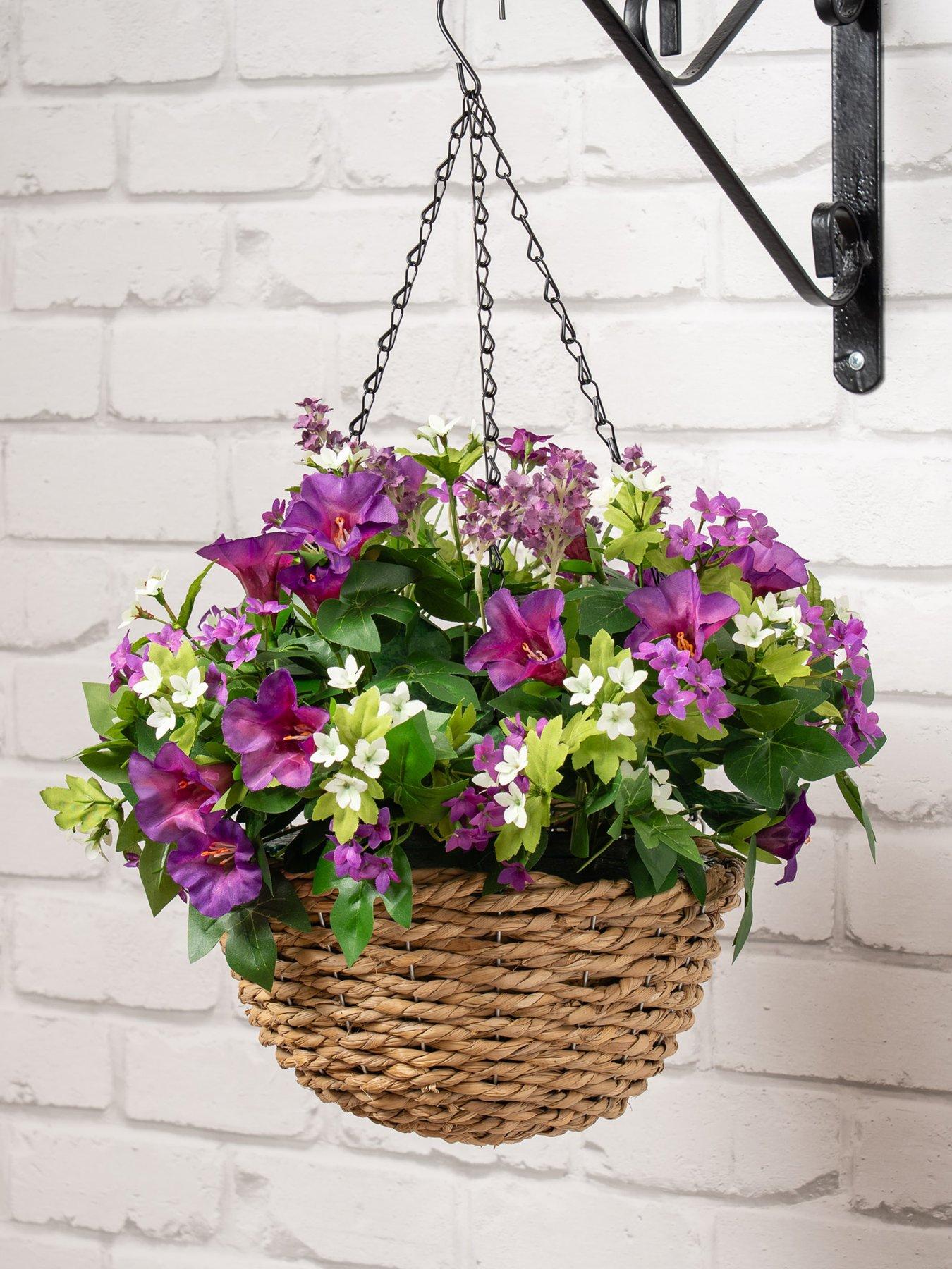 Scottish Everlastings 58cm Petunia  &  Star Flower Hanging Basket