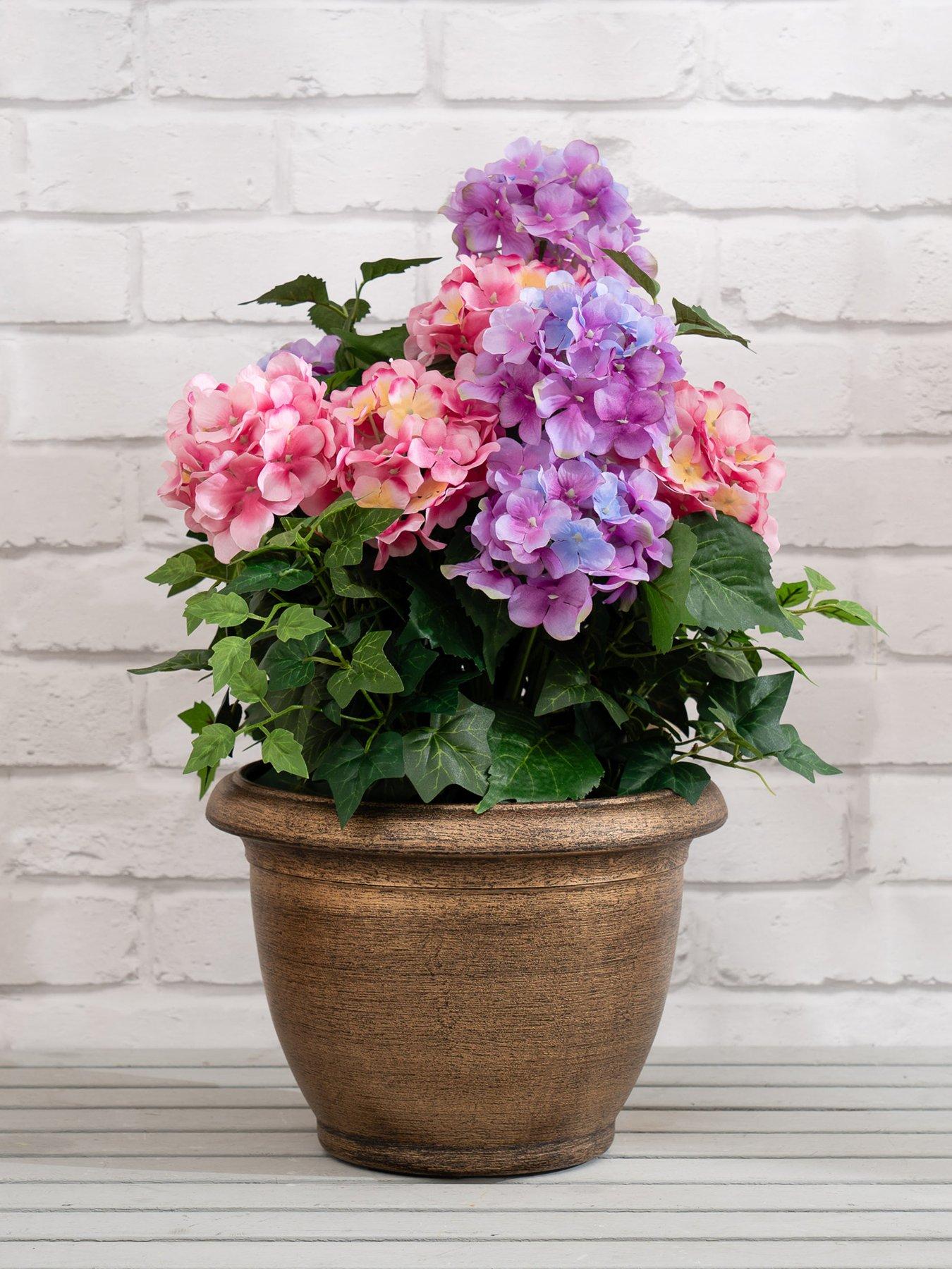 undefined 55cm Pink/Purple Hydrangea in Pot