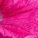 ONE_COLOUR