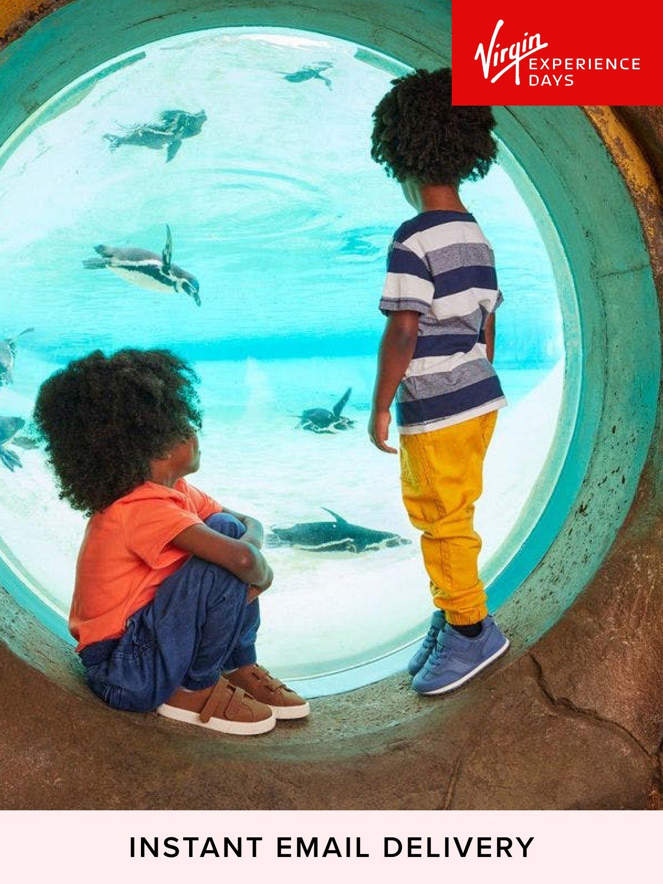 Virgin Experience Days Visit to London Zoo for Two Adults and Two Children
