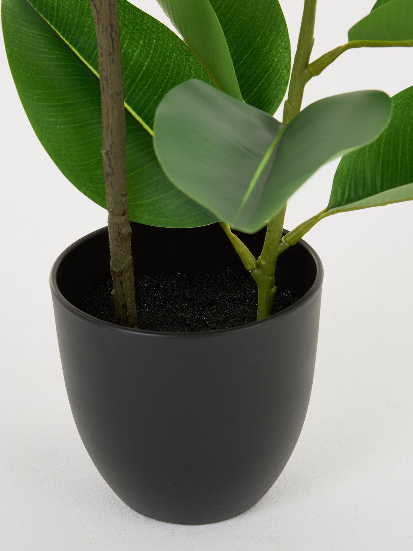 Image 4 of 7 of The Very Collection Real Touch Faux Rubber Tree in Plastic Pot