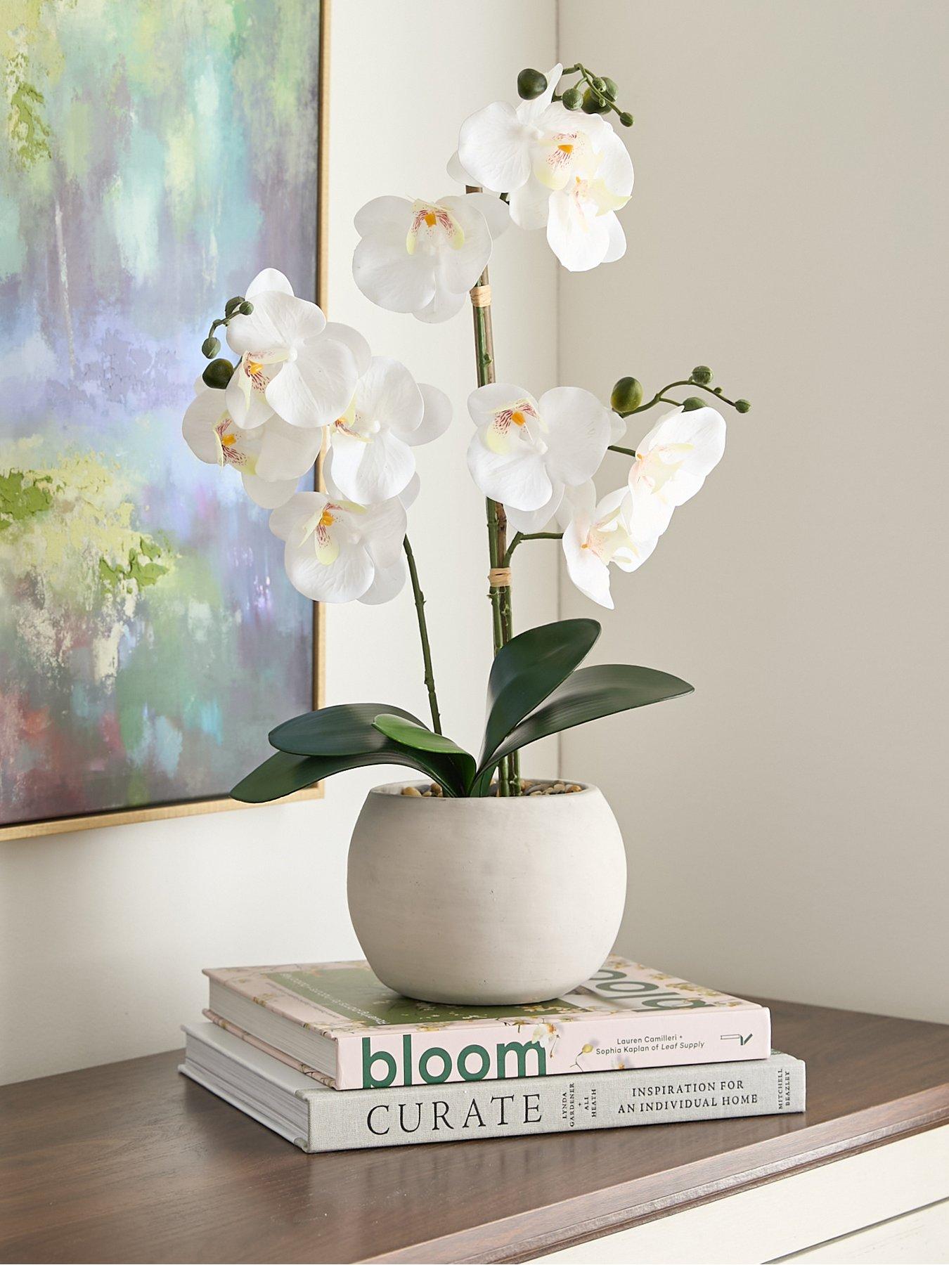 The Very Collection Faux Phalaenopsis Orchid in Round Cream Cement Pot