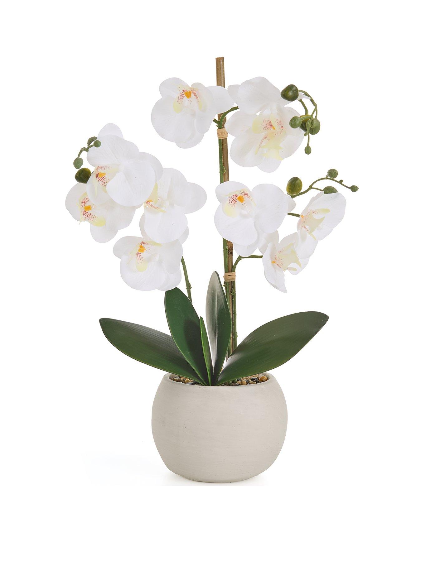  image of very-home-faux-phalaenopsis-orchid-in-round-cream-cement-potnbsp