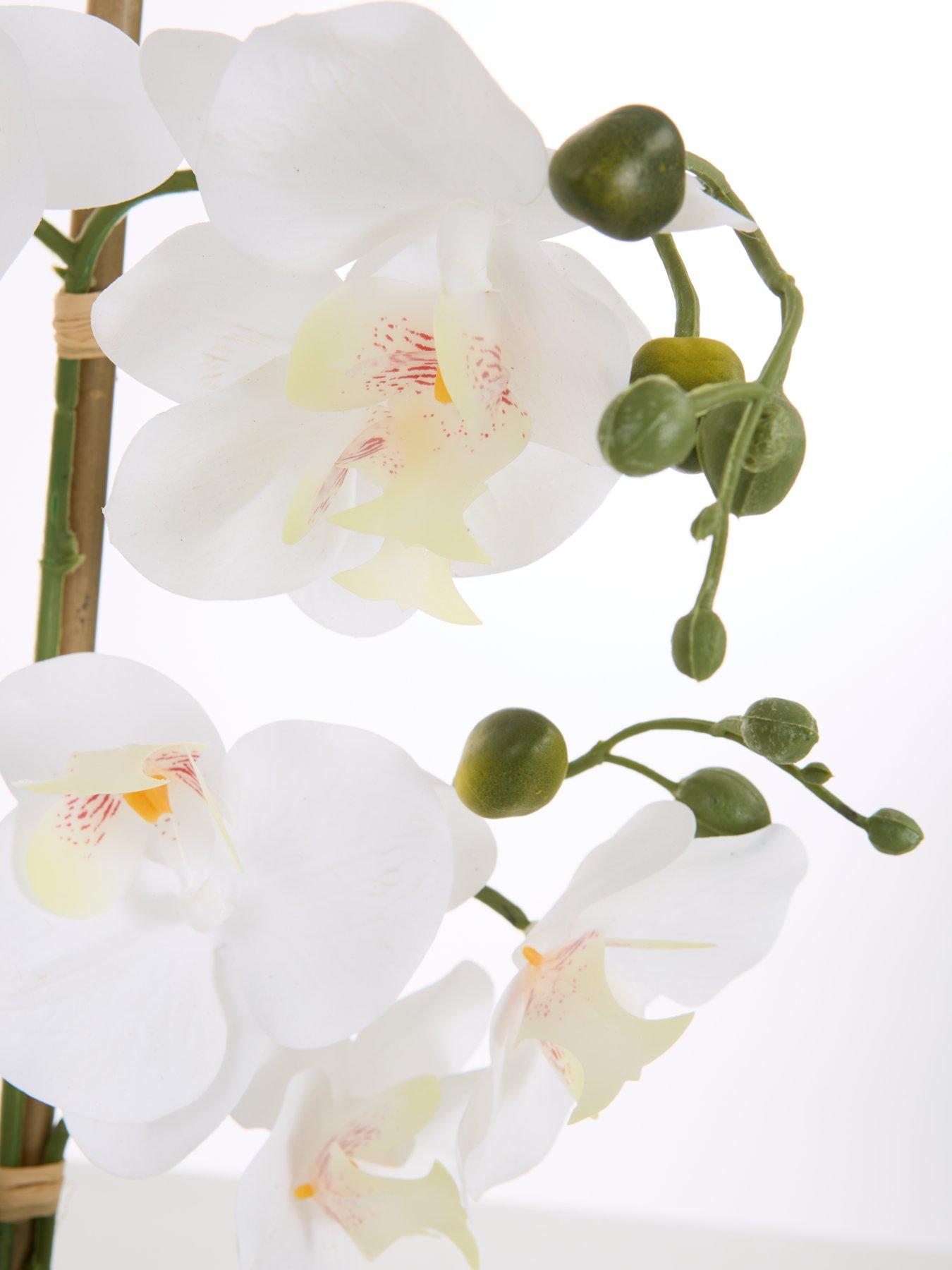  image of very-home-faux-phalaenopsis-orchid-in-round-cream-cement-potnbsp
