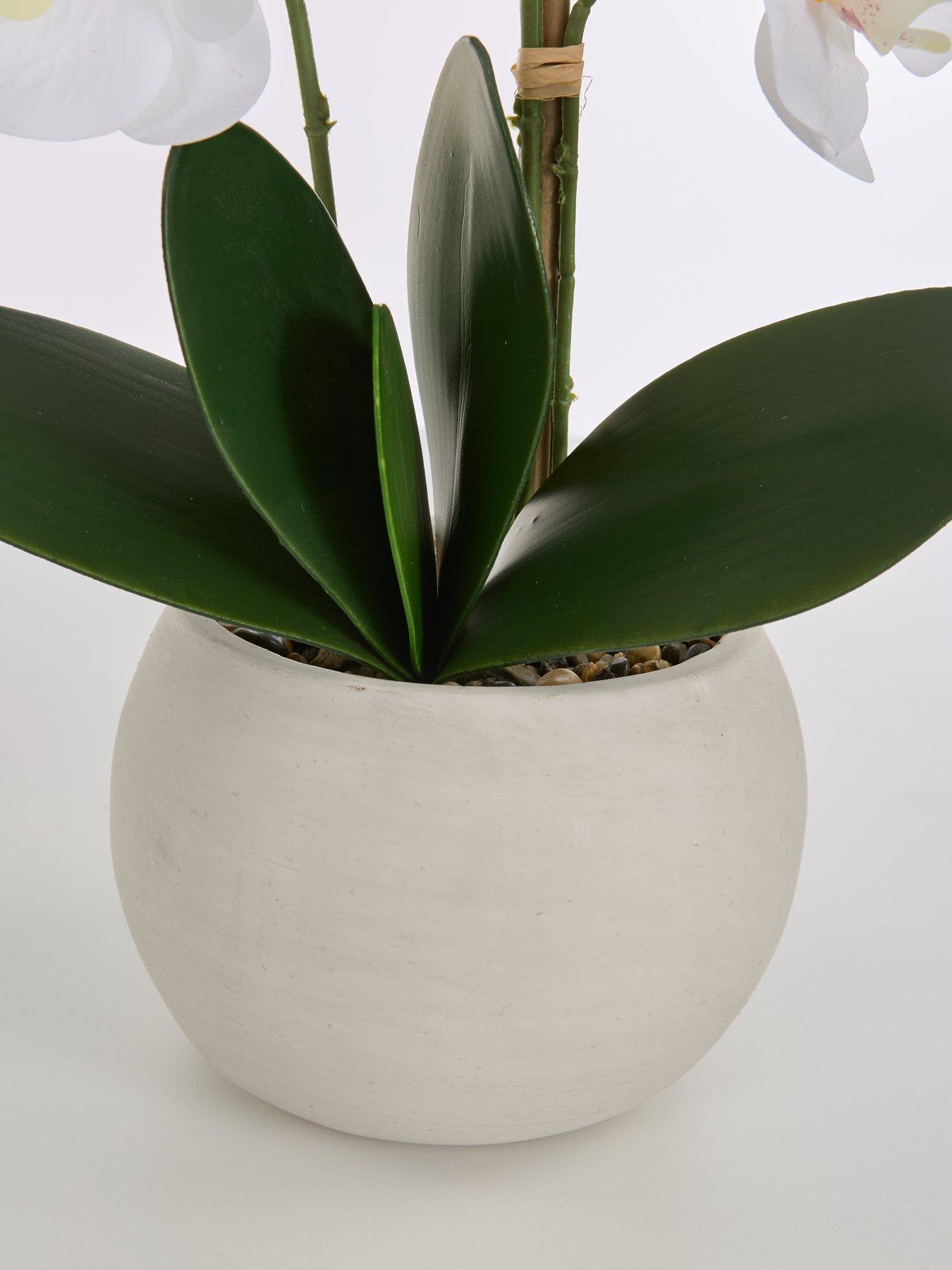  image of very-home-faux-phalaenopsis-orchid-in-round-cream-cement-potnbsp