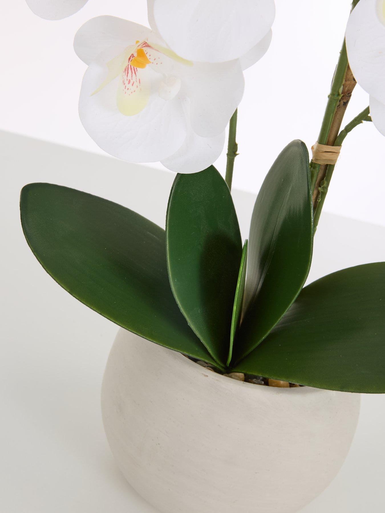  image of very-home-faux-phalaenopsis-orchid-in-round-cream-cement-potnbsp