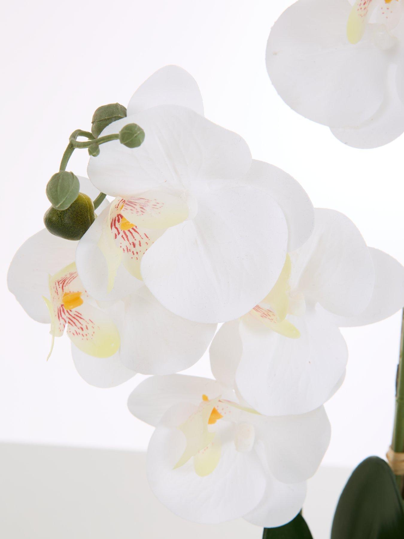  image of very-home-faux-phalaenopsis-orchid-in-round-cream-cement-potnbsp