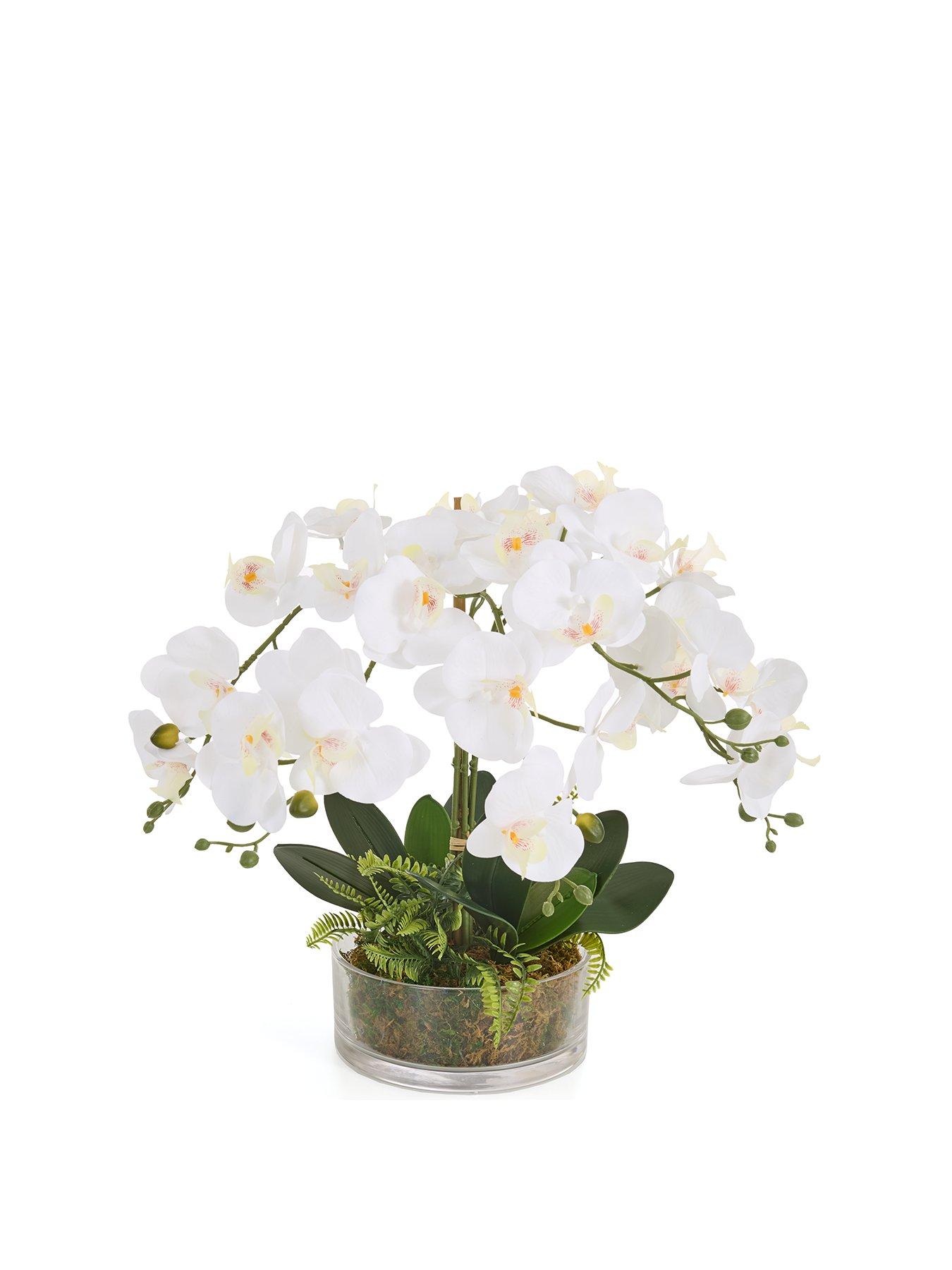  image of very-home-real-touch-5-stem-faux-orchid-with-fern-in-glass-potnbsp