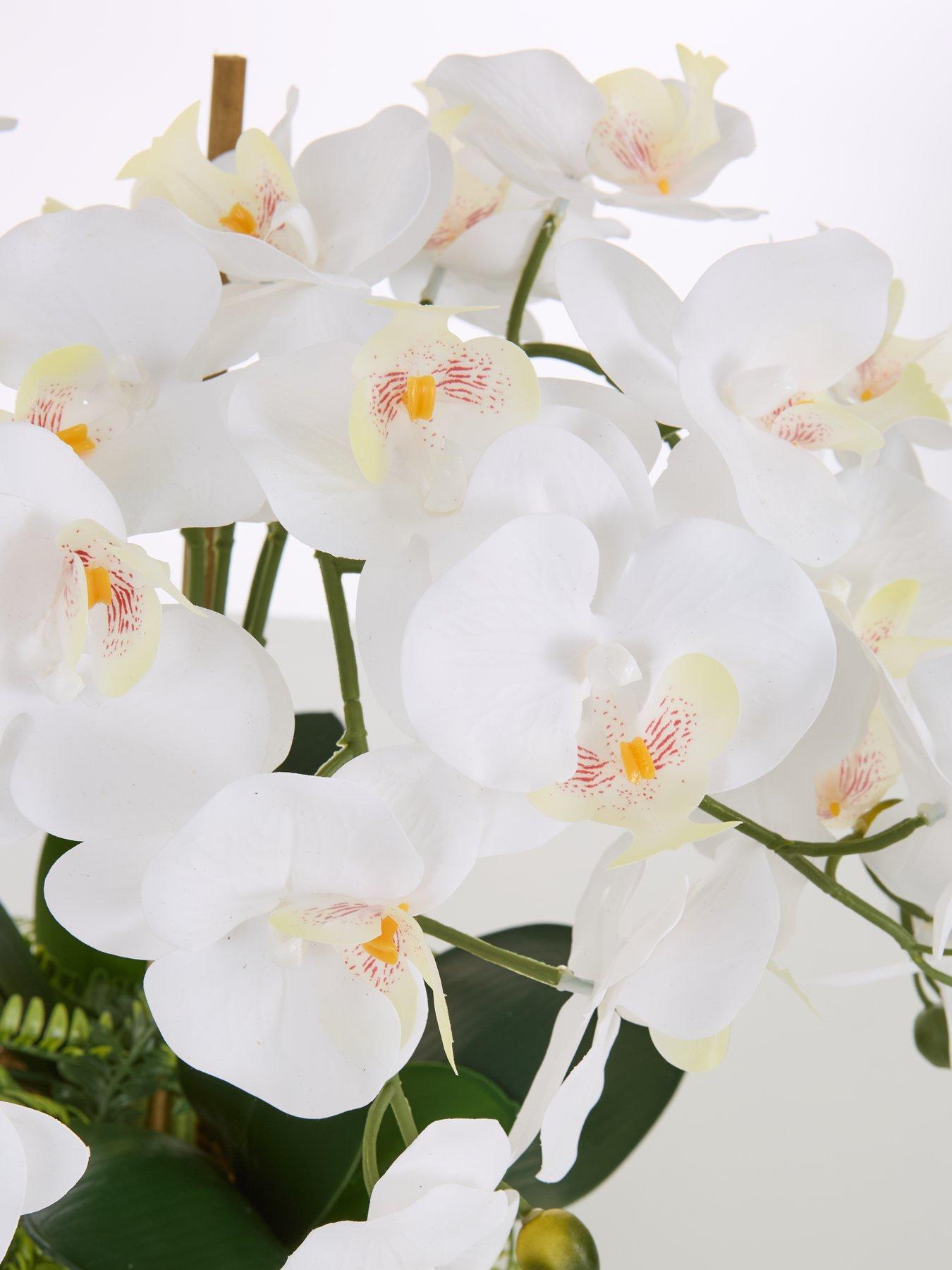  image of very-home-real-touch-5-stem-faux-orchid-with-fern-in-glass-potnbsp