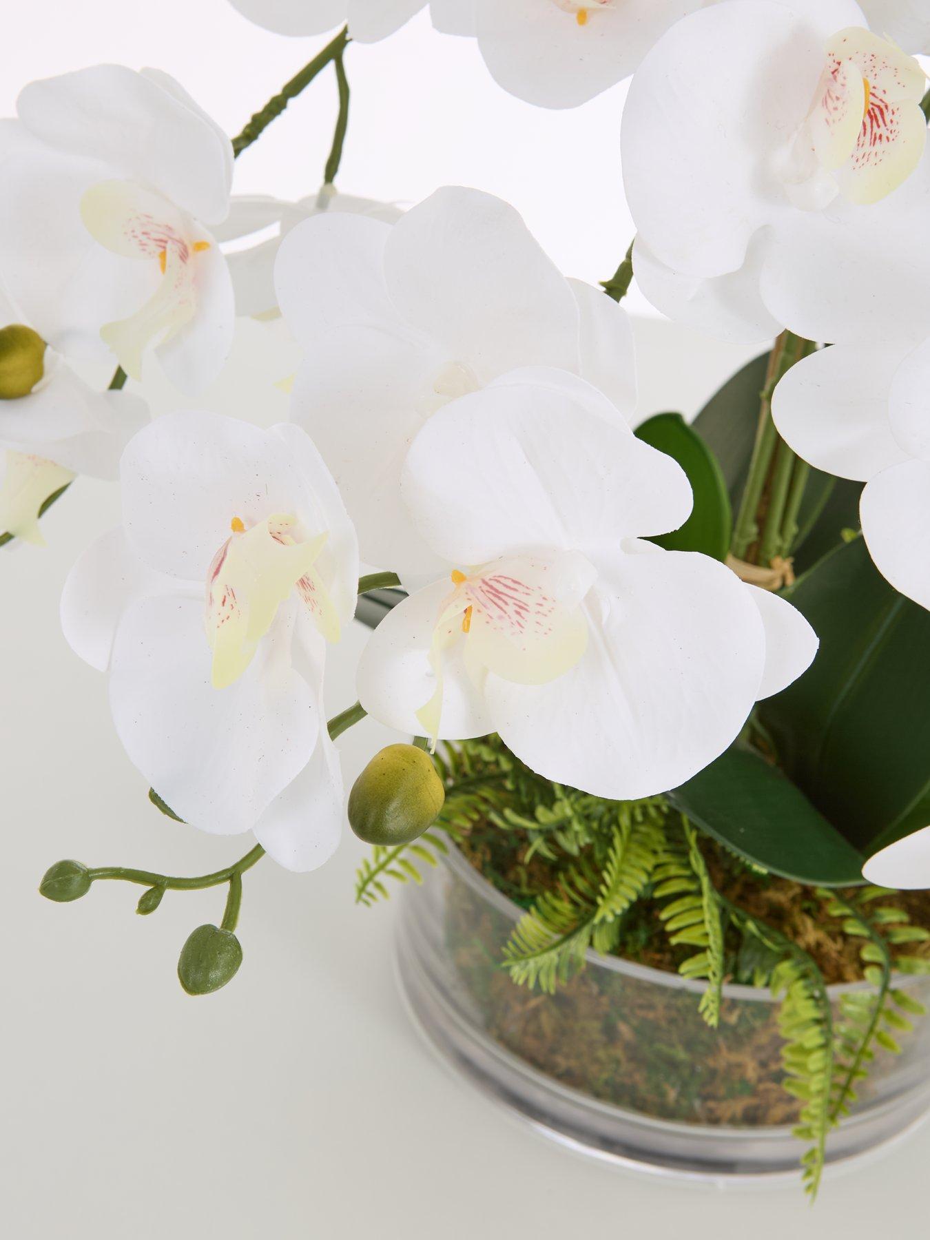  image of very-home-real-touch-5-stem-faux-orchid-with-fern-in-glass-potnbsp