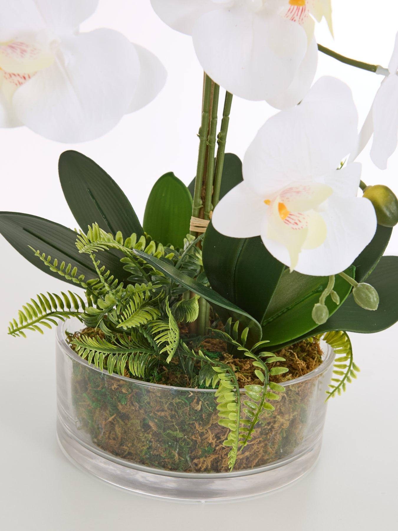  image of very-home-real-touch-5-stem-faux-orchid-with-fern-in-glass-potnbsp