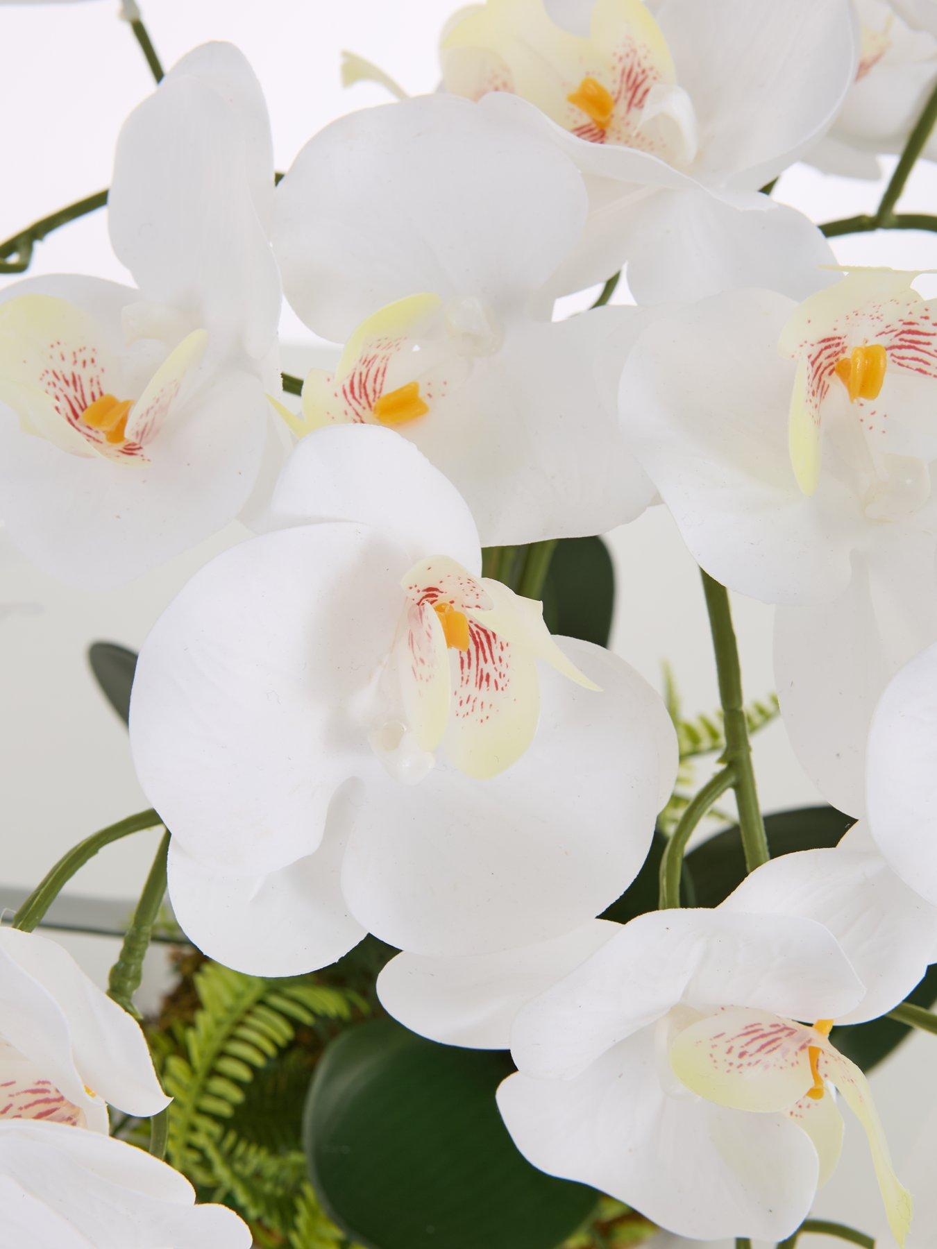  image of very-home-real-touch-5-stem-faux-orchid-with-fern-in-glass-potnbsp