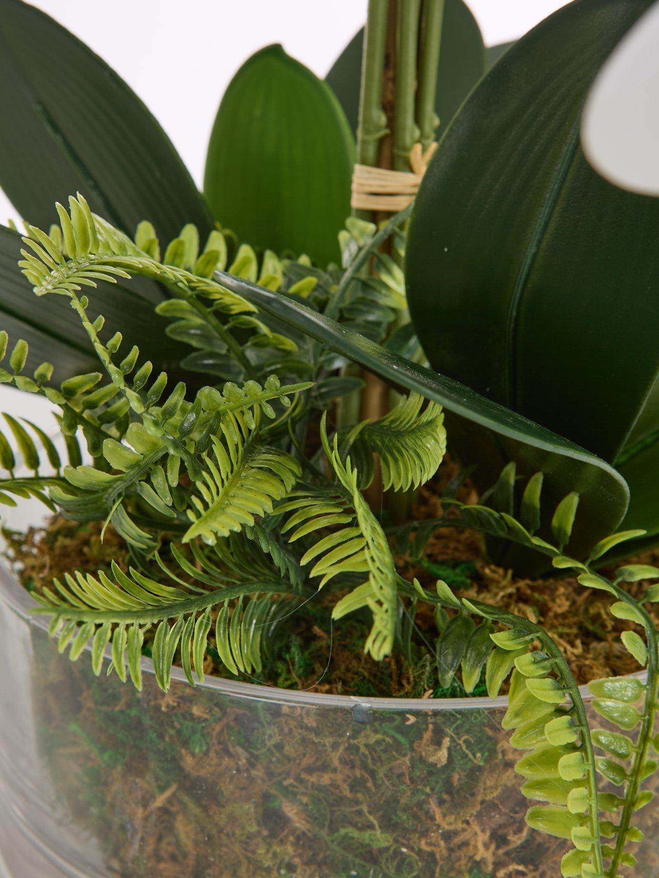 Image 7 of 7 of Very Home Real Touch 5-Stem Faux Orchid with Fern in Glass Pot