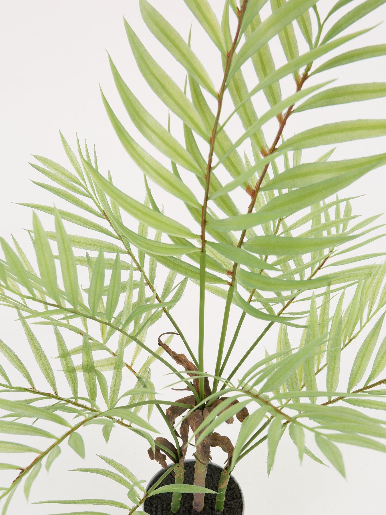 Image 3 of 7 of Very Home Faux Palm Plant in Plastic Pot