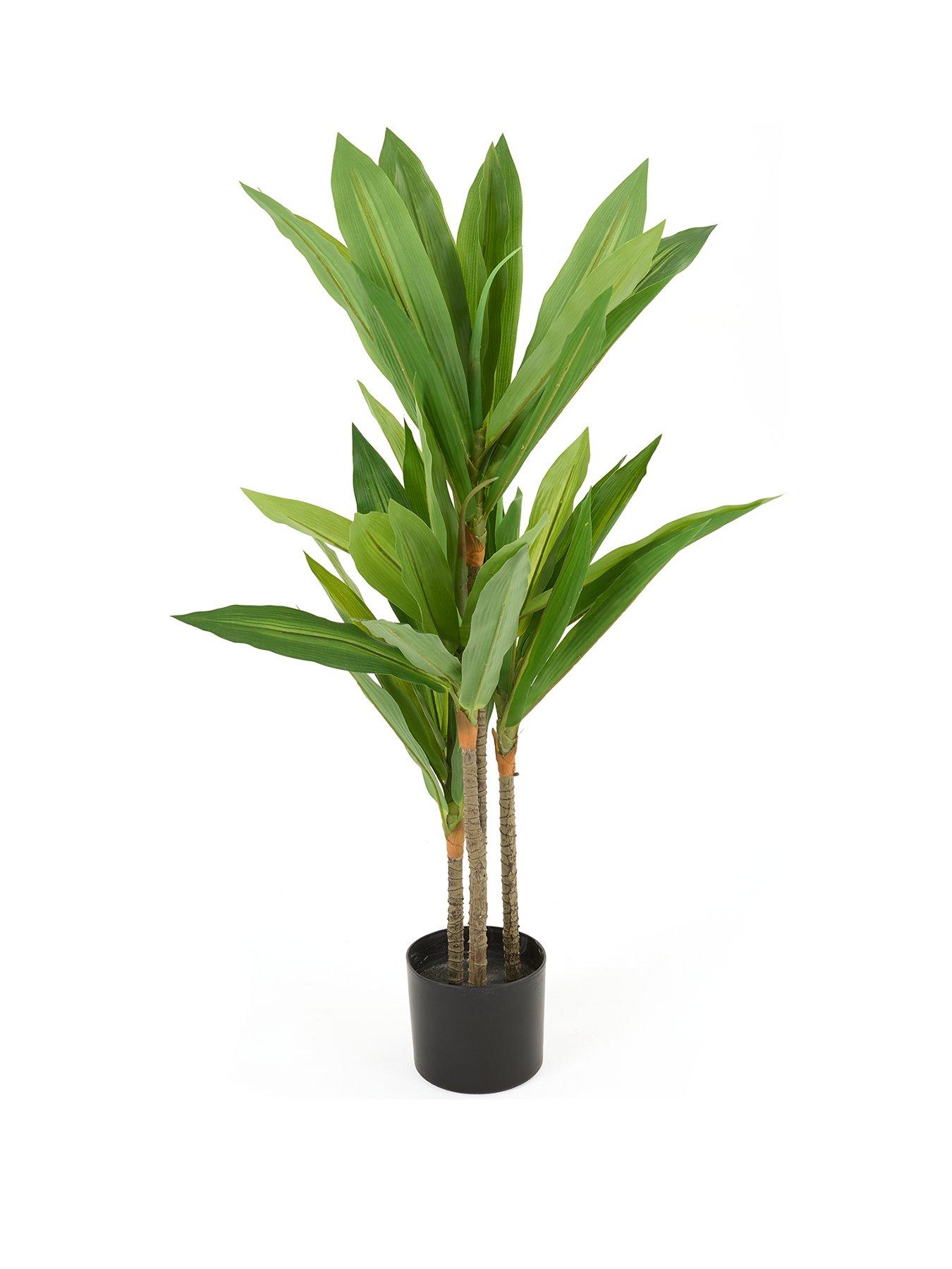 Image 2 of 6 of Very Home Real Touch Faux Dracaena Tree in Plastic Pot