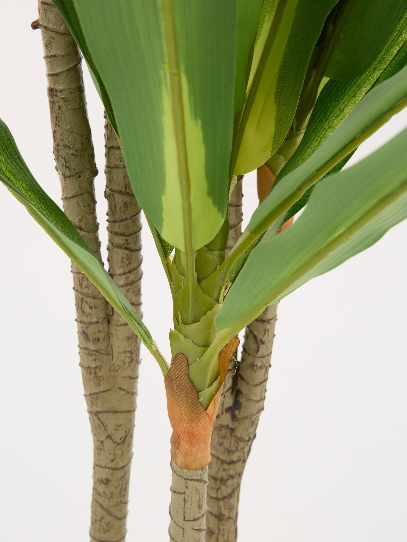 Image 5 of 6 of Very Home Real Touch Faux Dracaena Tree in Plastic Pot