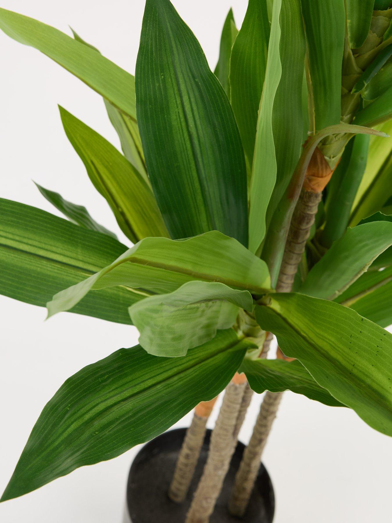 Image 3 of 7 of Very Home Real Touch Faux Dracaena Tree in Plastic Pot&nbsp;
