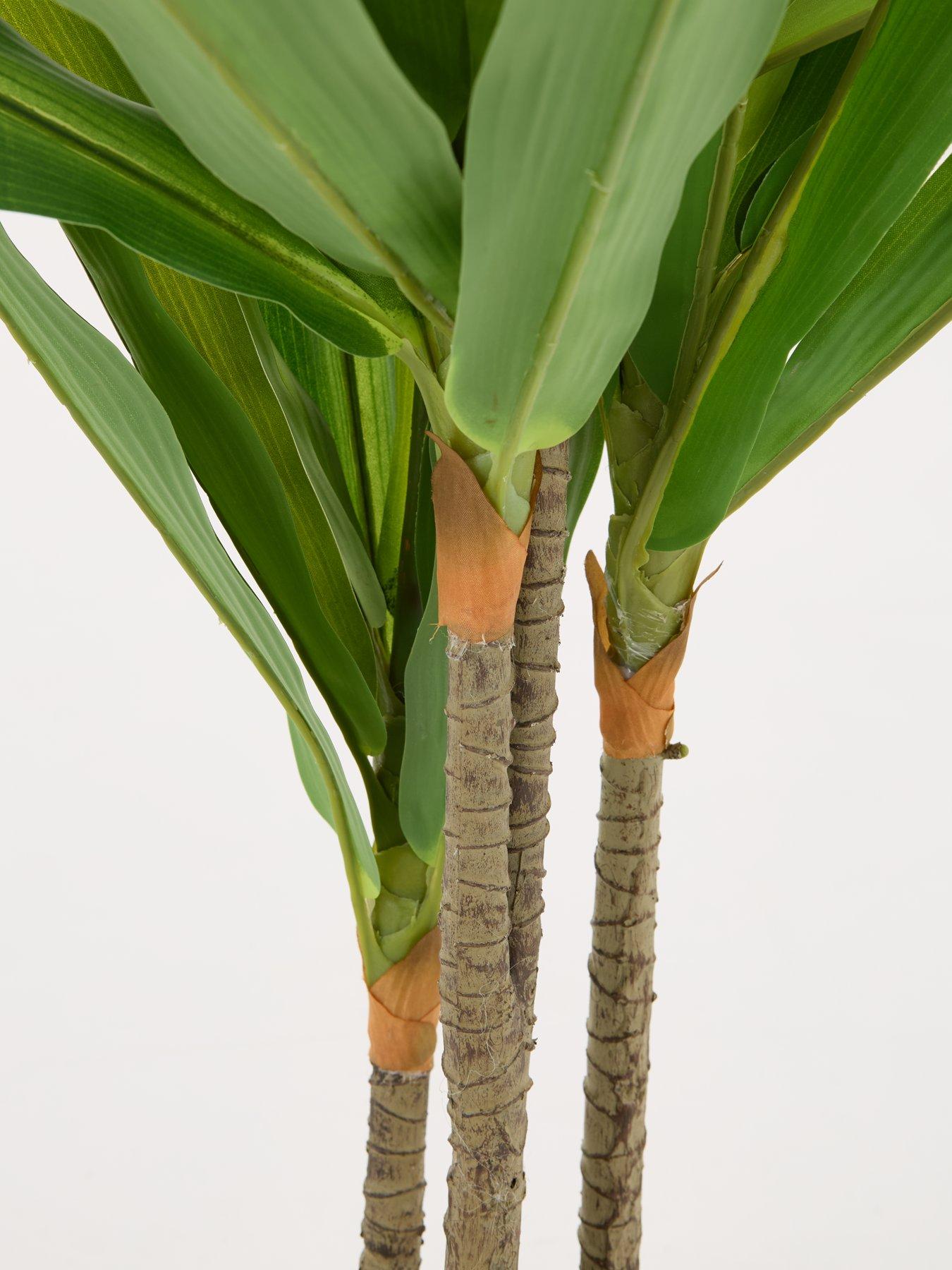 Image 5 of 7 of Very Home Real Touch Faux Dracaena Tree in Plastic Pot&nbsp;