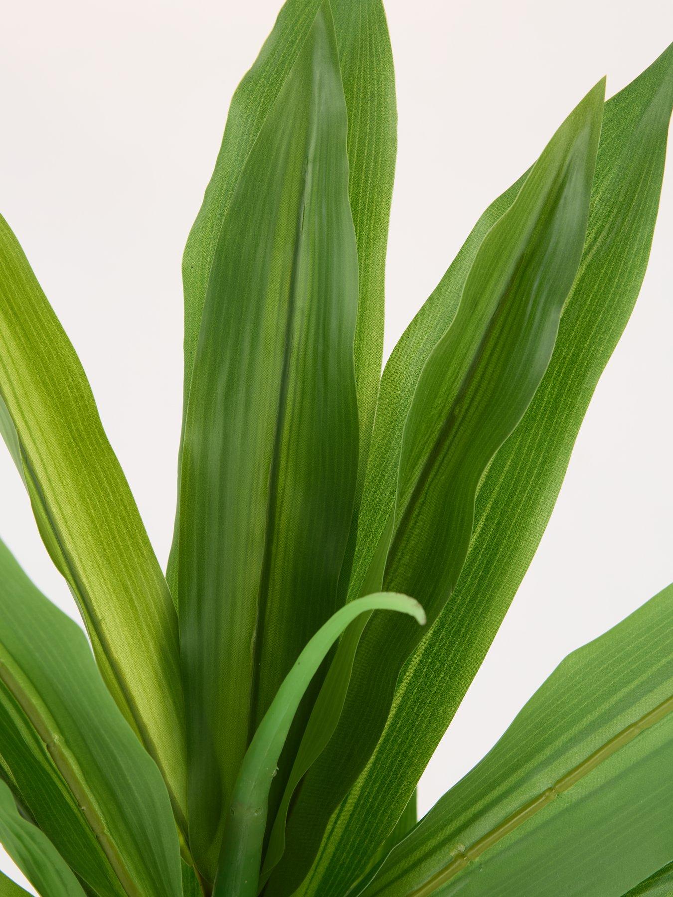 Image 6 of 7 of Very Home Real Touch Faux Dracaena Tree in Plastic Pot&nbsp;