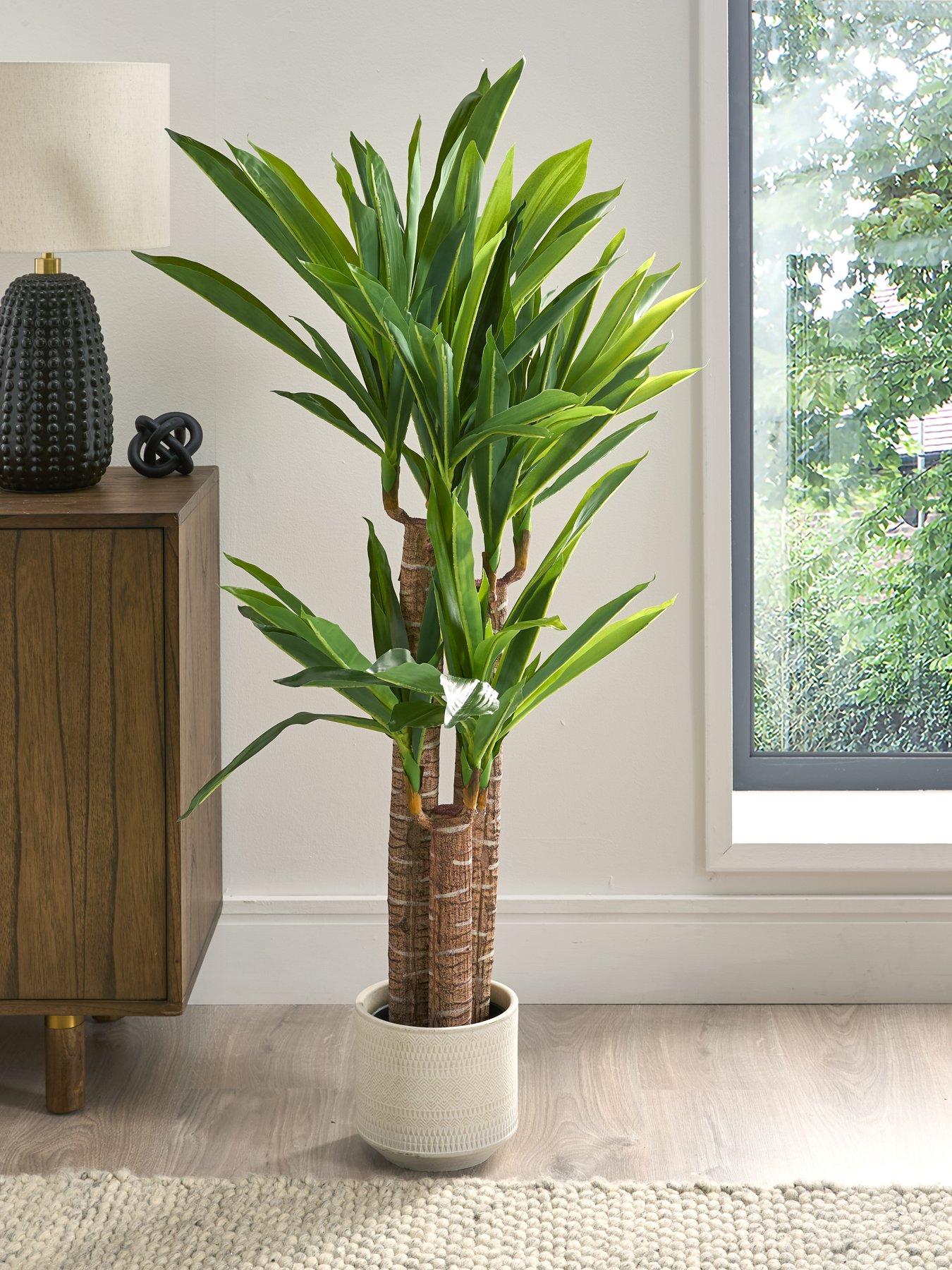 Image 1 of 7 of Very Home Faux Triple Stem Yucca Plant in Plastic Pot