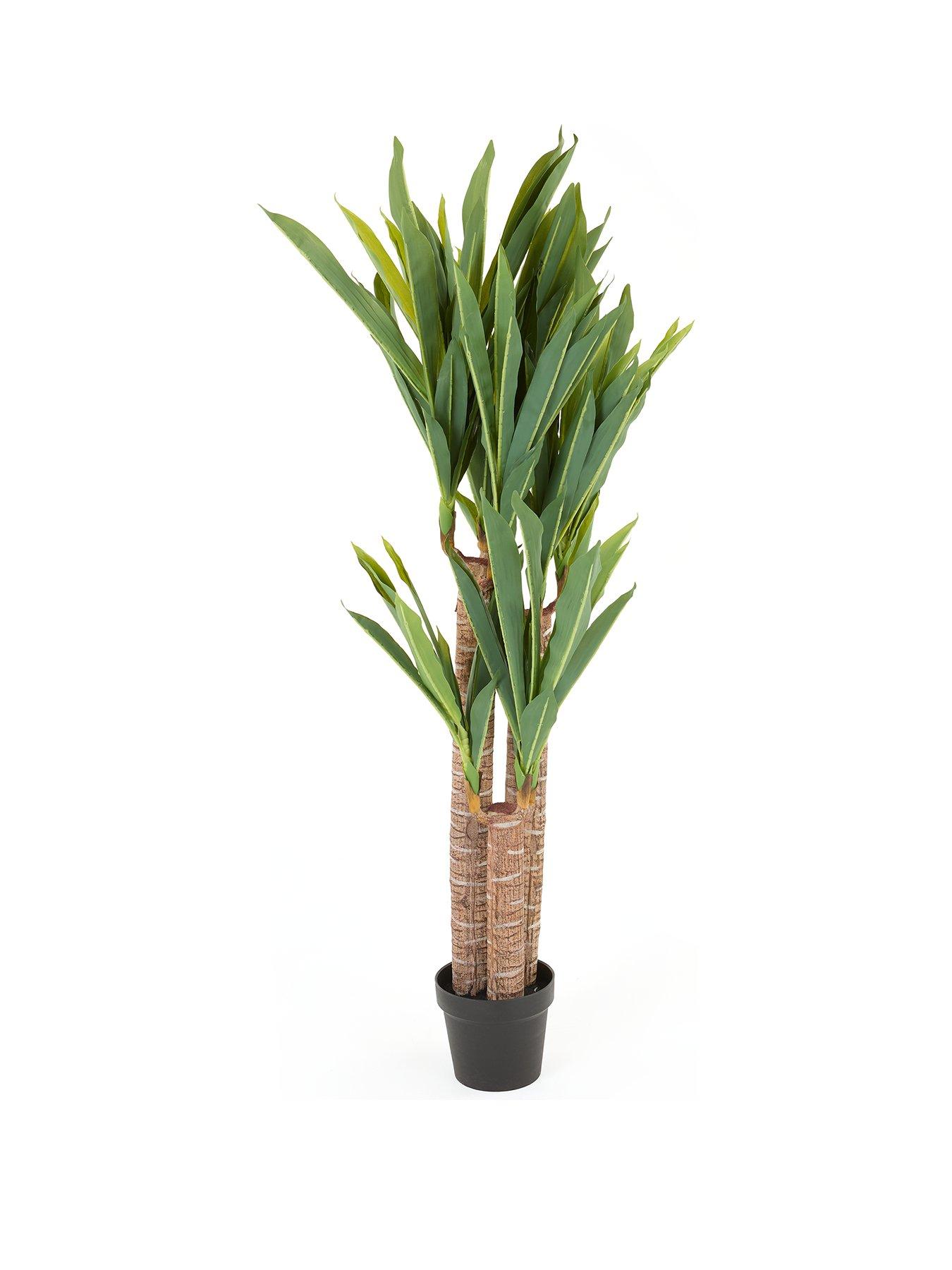 Image 2 of 7 of Very Home Faux Triple Stem Yucca Plant in Plastic Pot