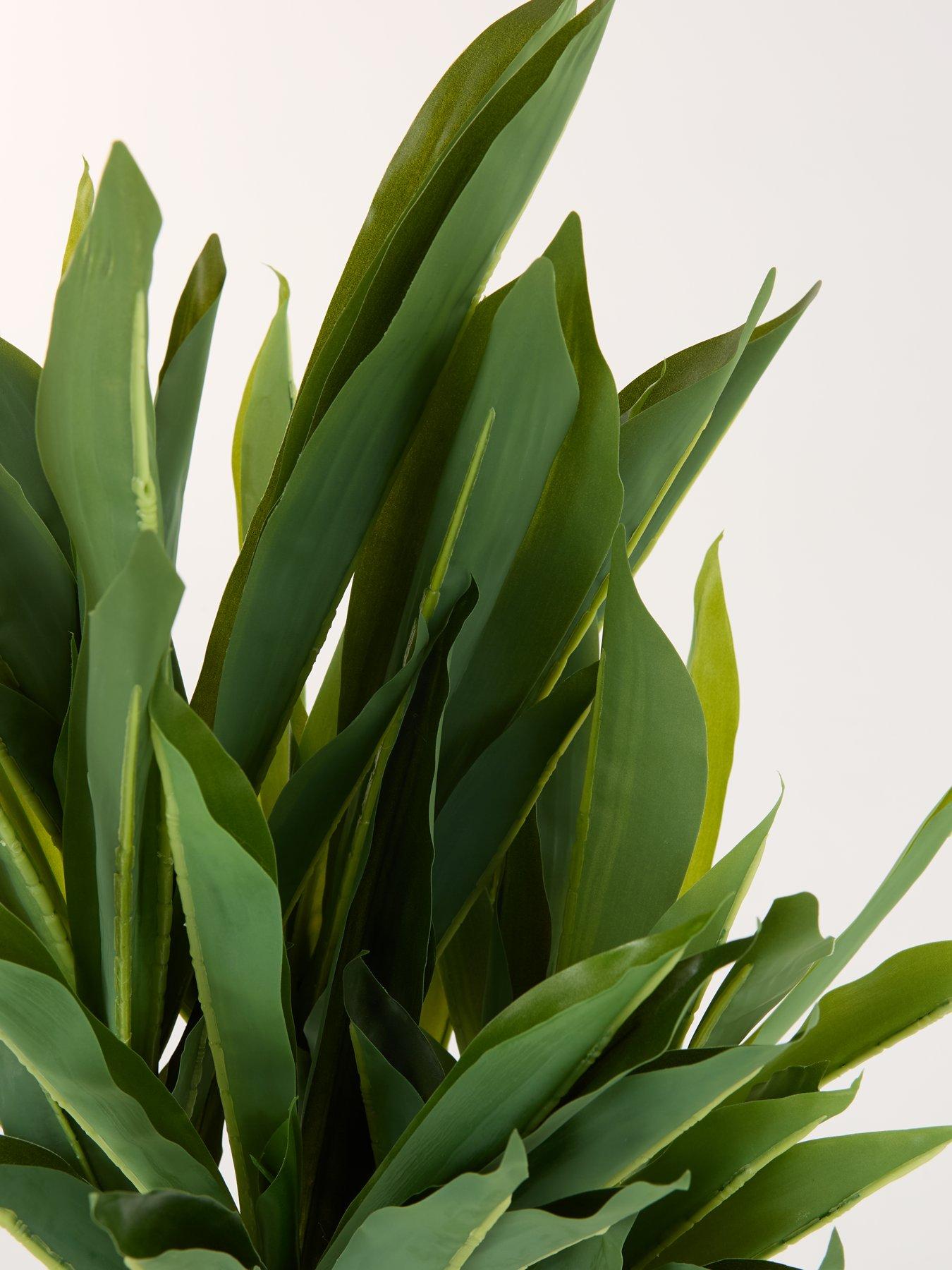 Image 6 of 7 of Very Home Faux Triple Stem Yucca Plant in Plastic Pot