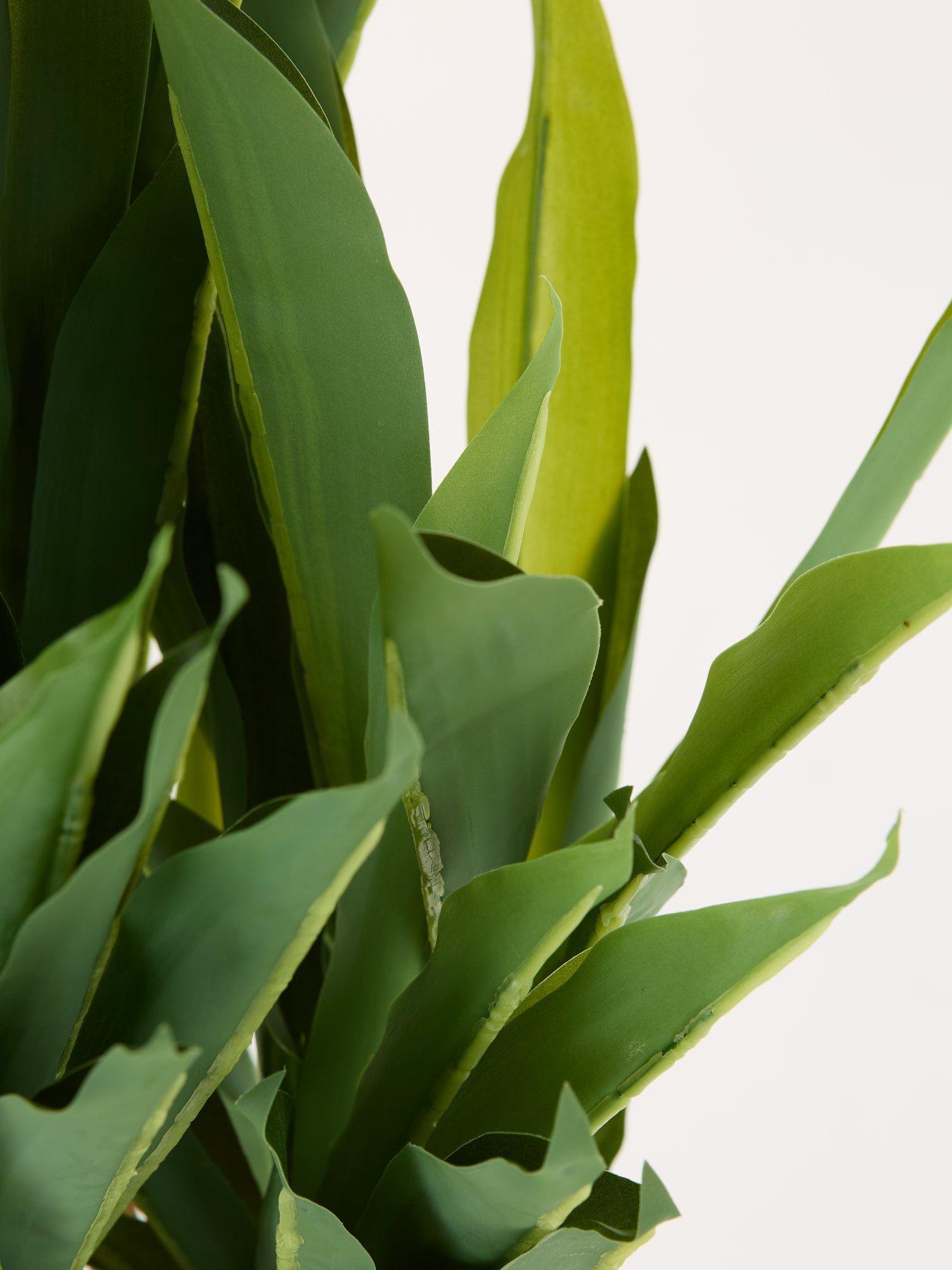 Image 7 of 7 of Very Home Faux Triple Stem Yucca Plant in Plastic Pot