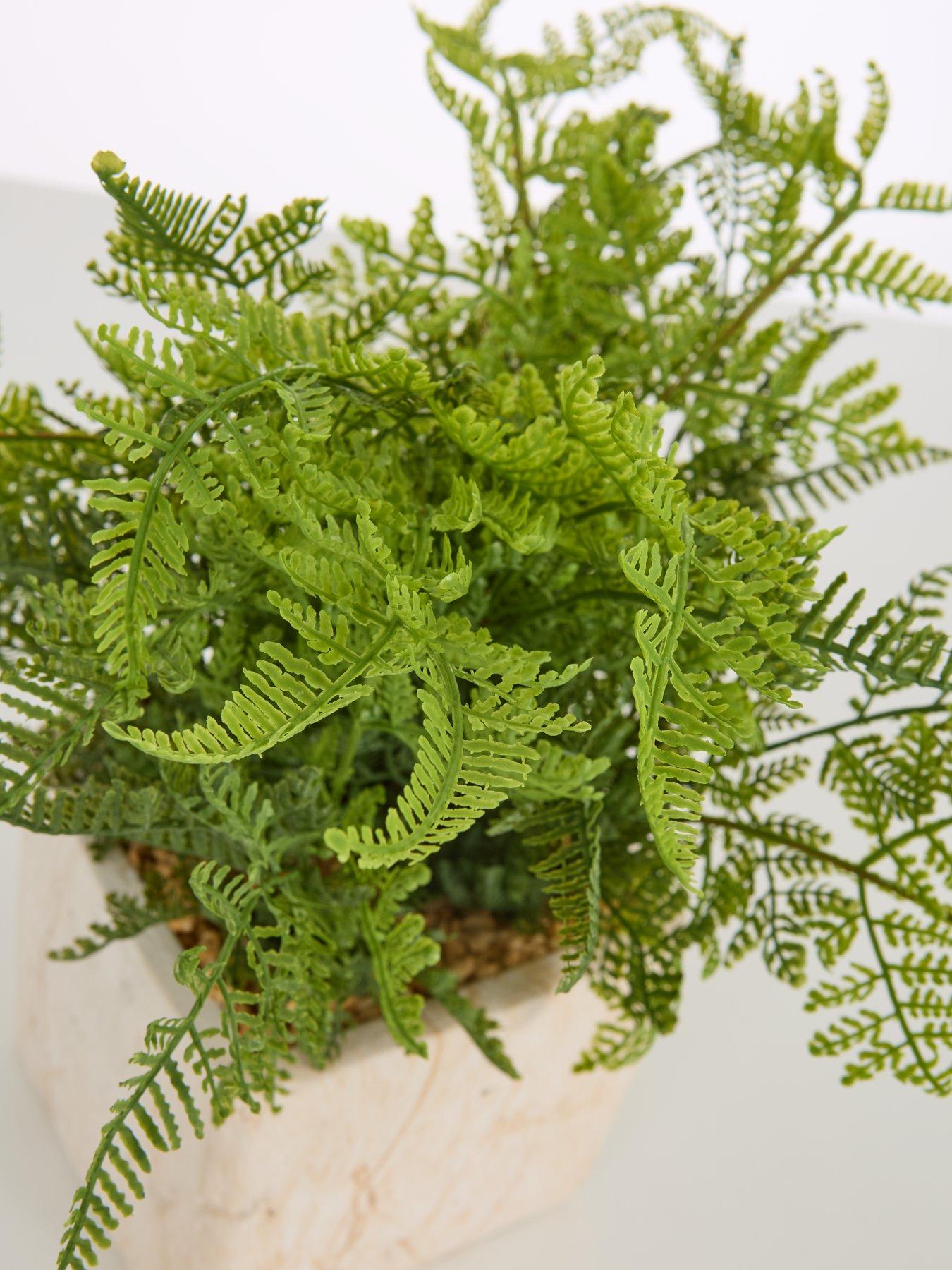 Image 3 of 6 of Very Home Artificial Fern in Travertine-Style Pot
