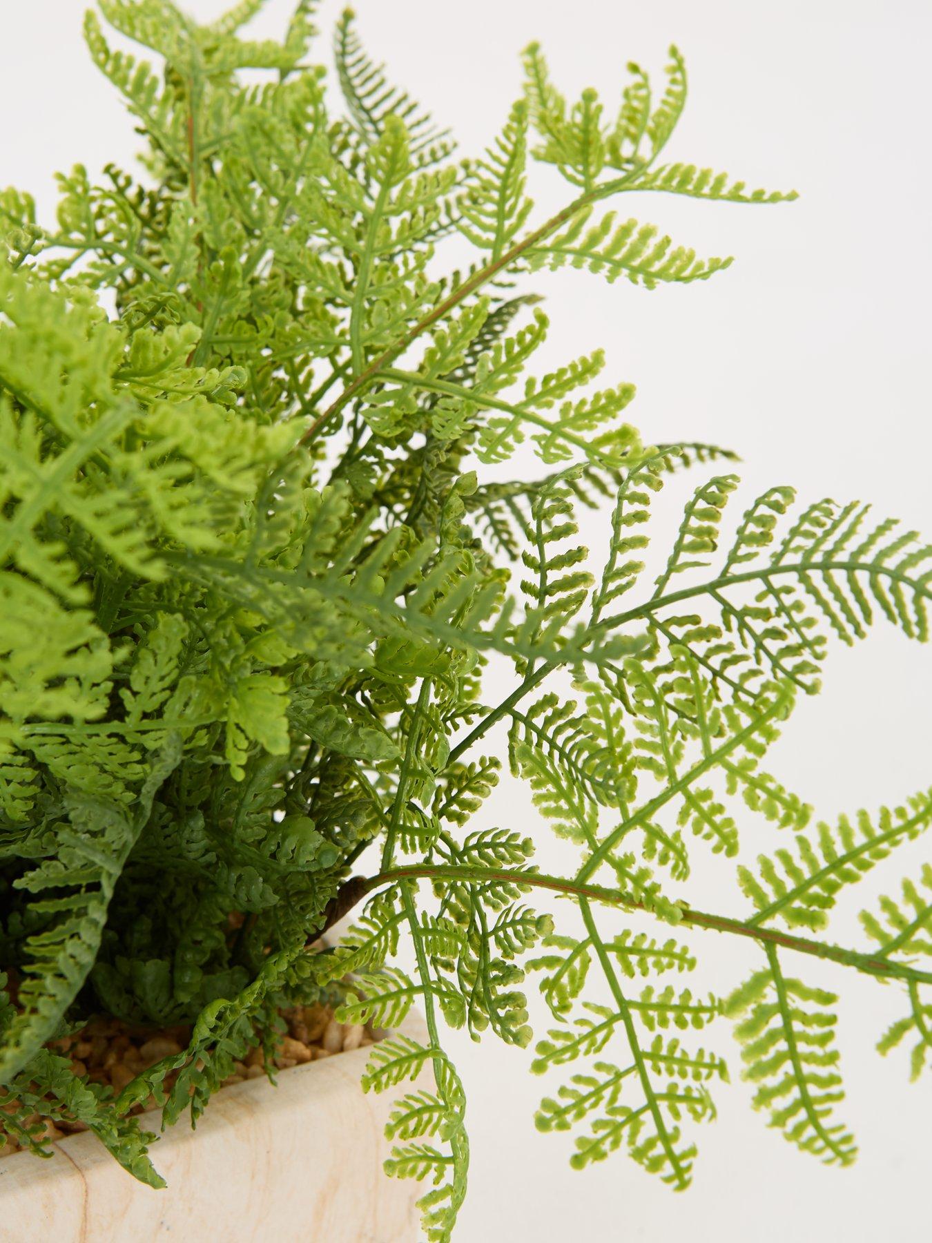 Image 4 of 6 of Very Home Artificial Fern in Travertine-Style Pot
