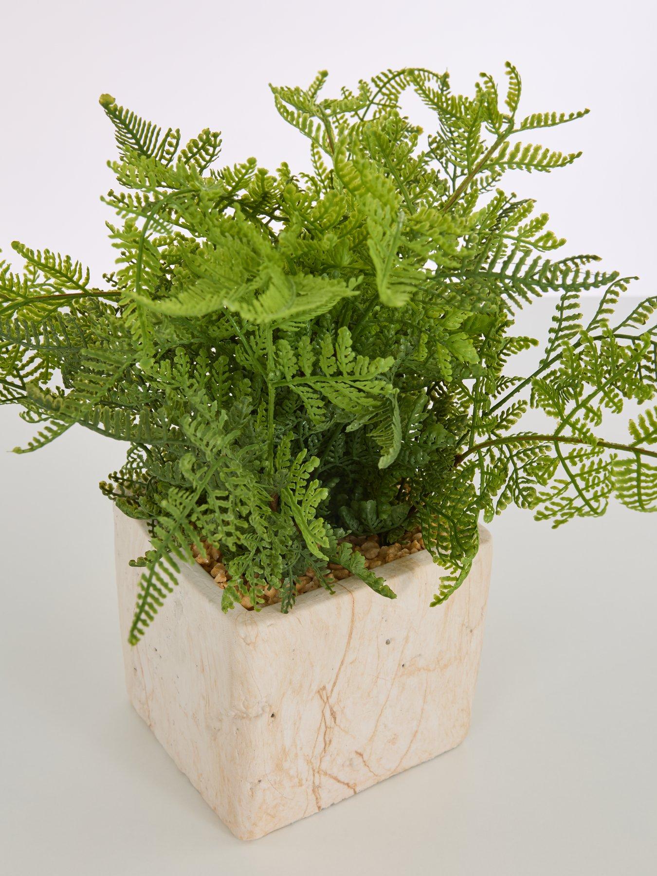 Image 6 of 6 of Very Home Artificial Fern in Travertine-Style Pot