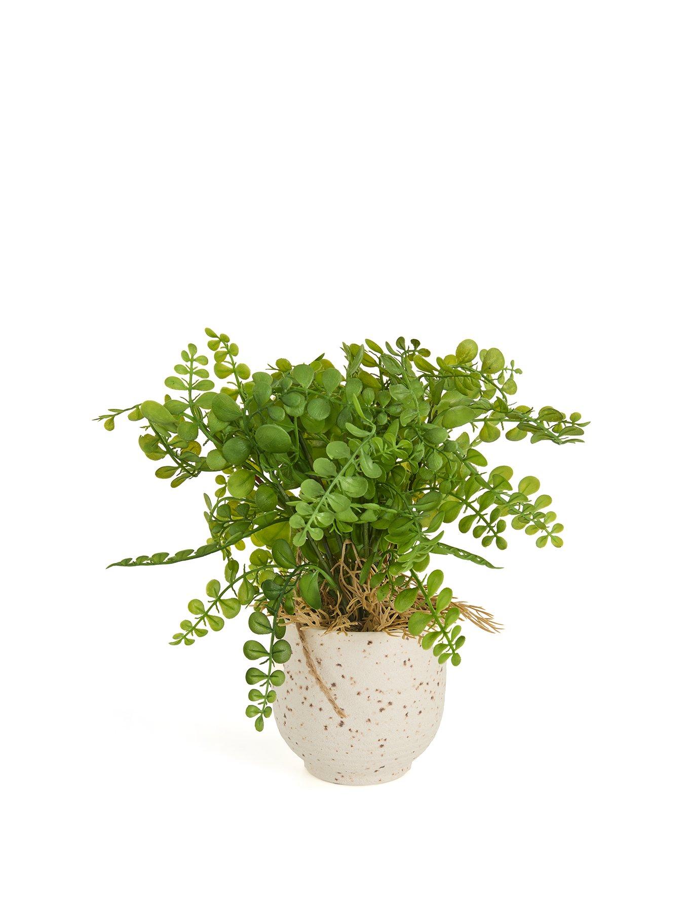  image of very-home-artificial-fern-in-speckled-ceramic-pot