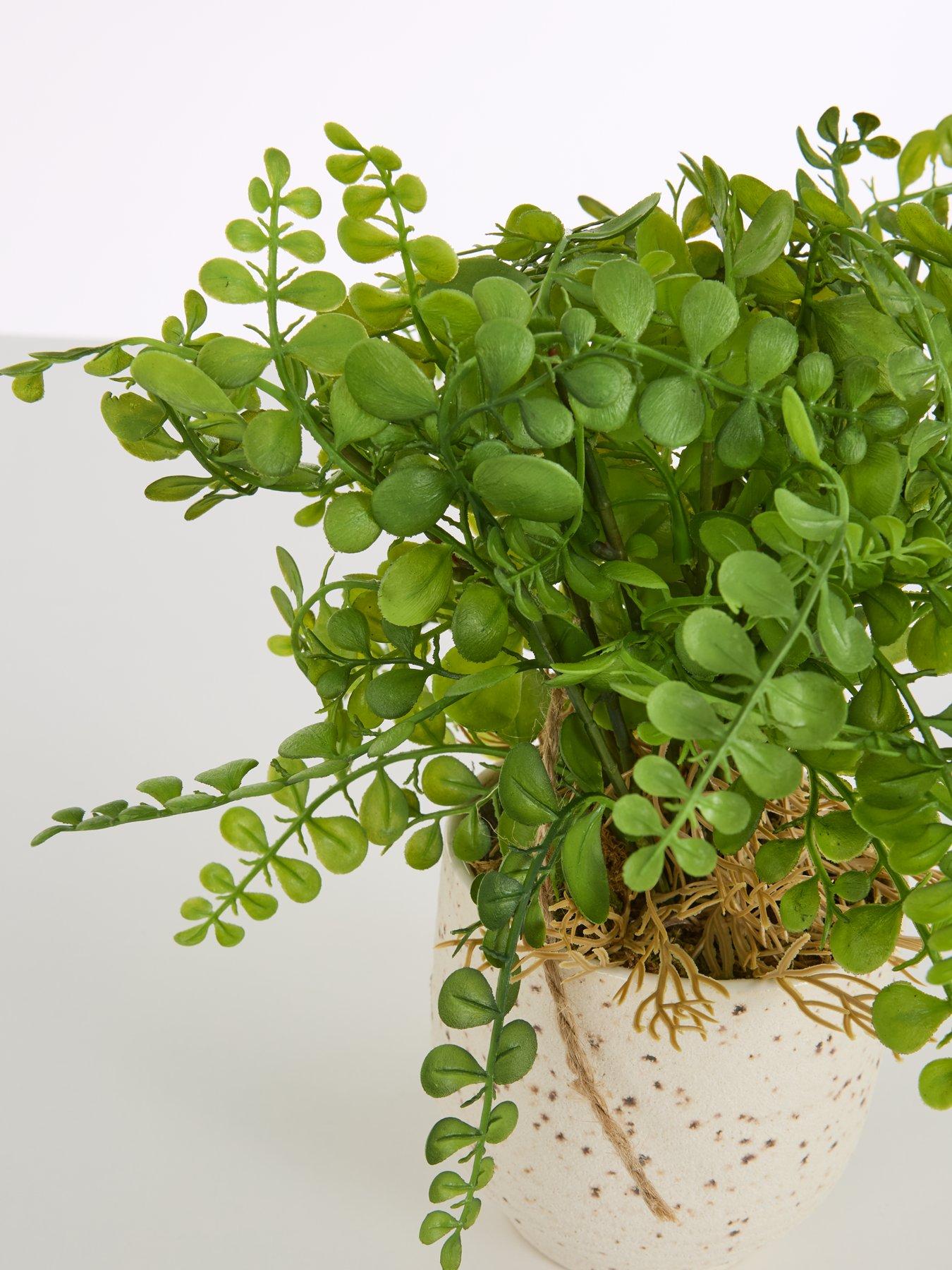  image of very-home-artificial-fern-in-speckled-ceramic-pot