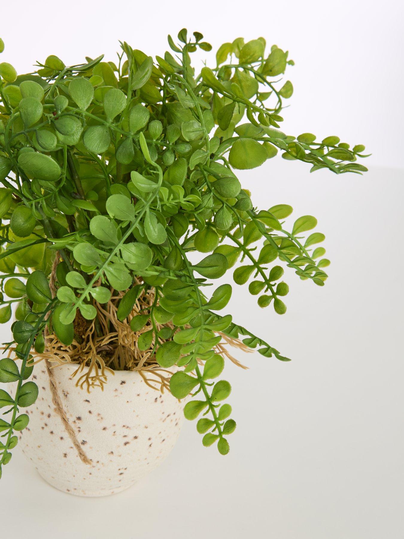  image of very-home-artificial-fern-in-speckled-ceramic-pot