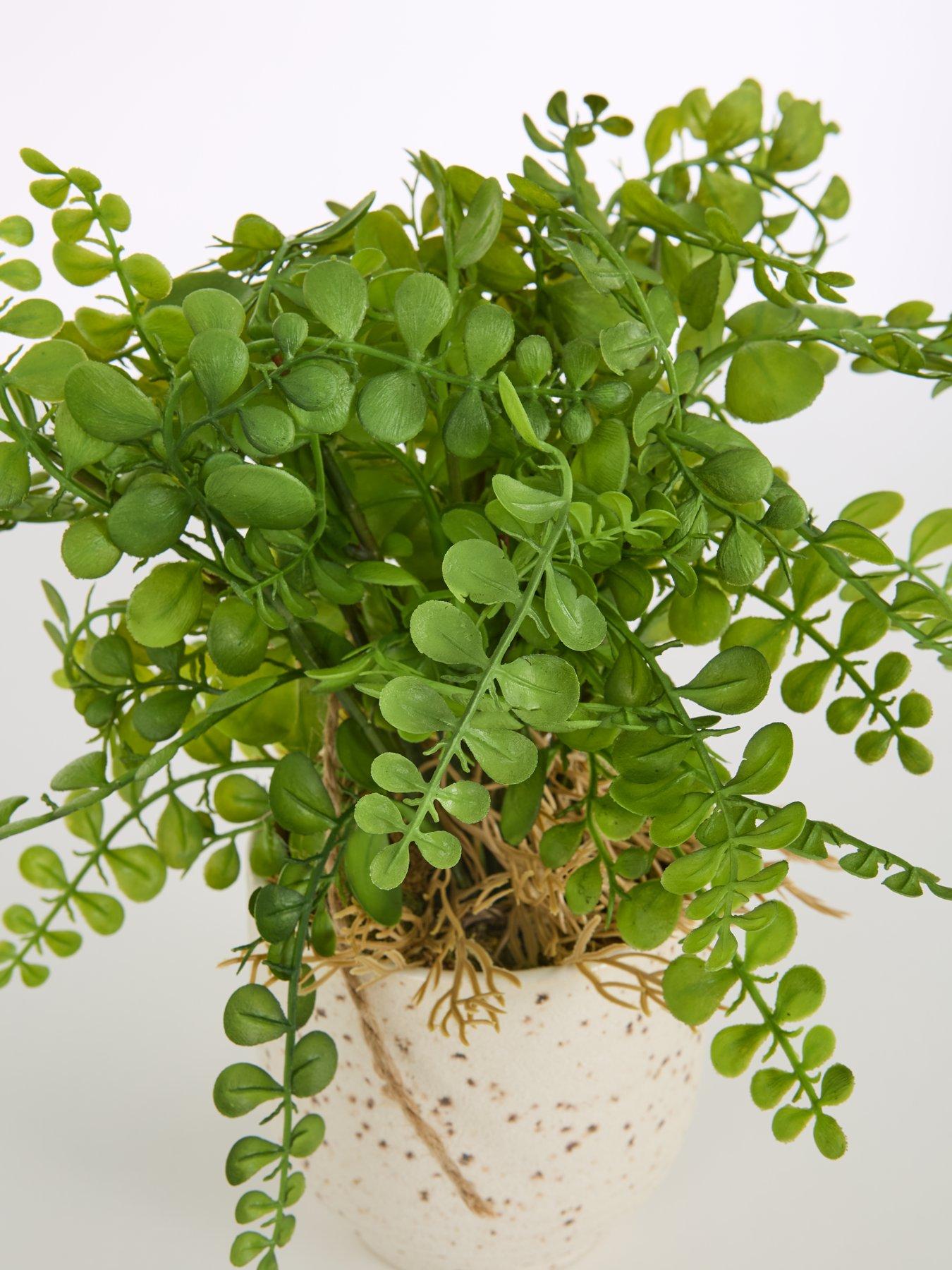  image of very-home-artificial-fern-in-speckled-ceramic-pot