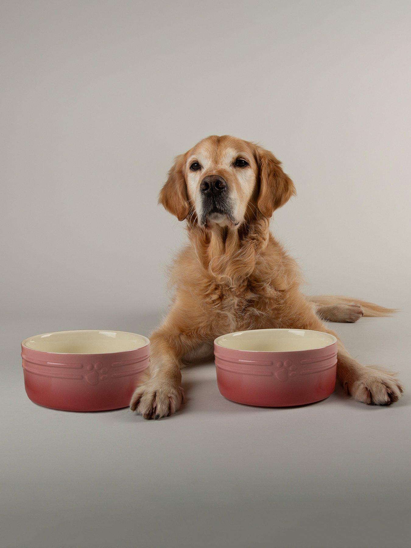 front image of scruffs-ombre-2pc-bowl-set-pink-19cm