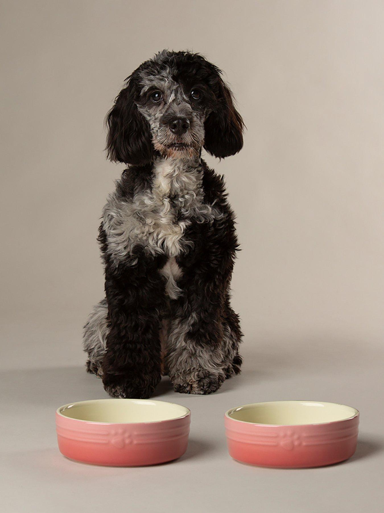 Scruffs Ombre 2pc Bowl Set - Pink 15cm