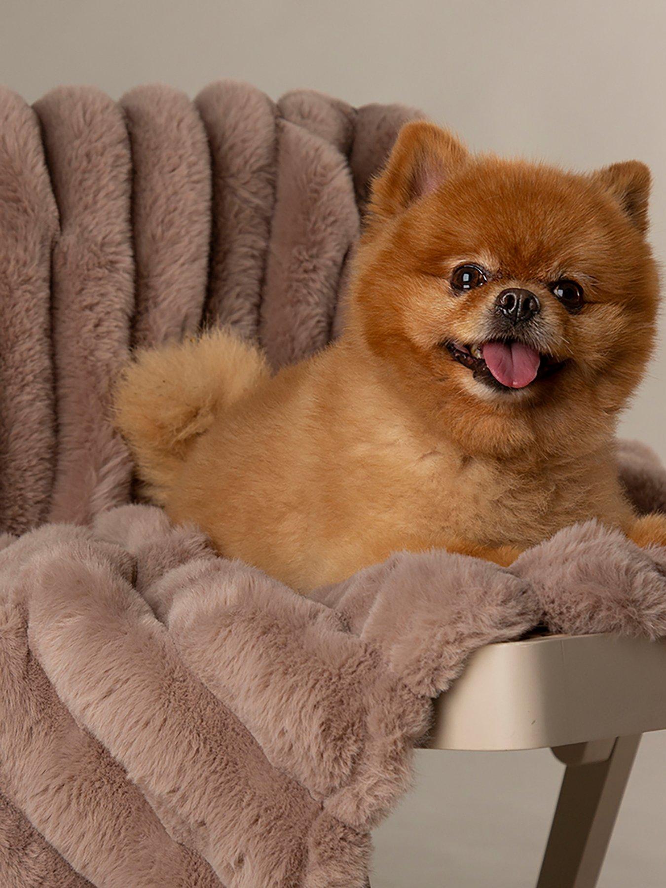 Image 1 of 7 of Scruffs Aspen Pet Blanket