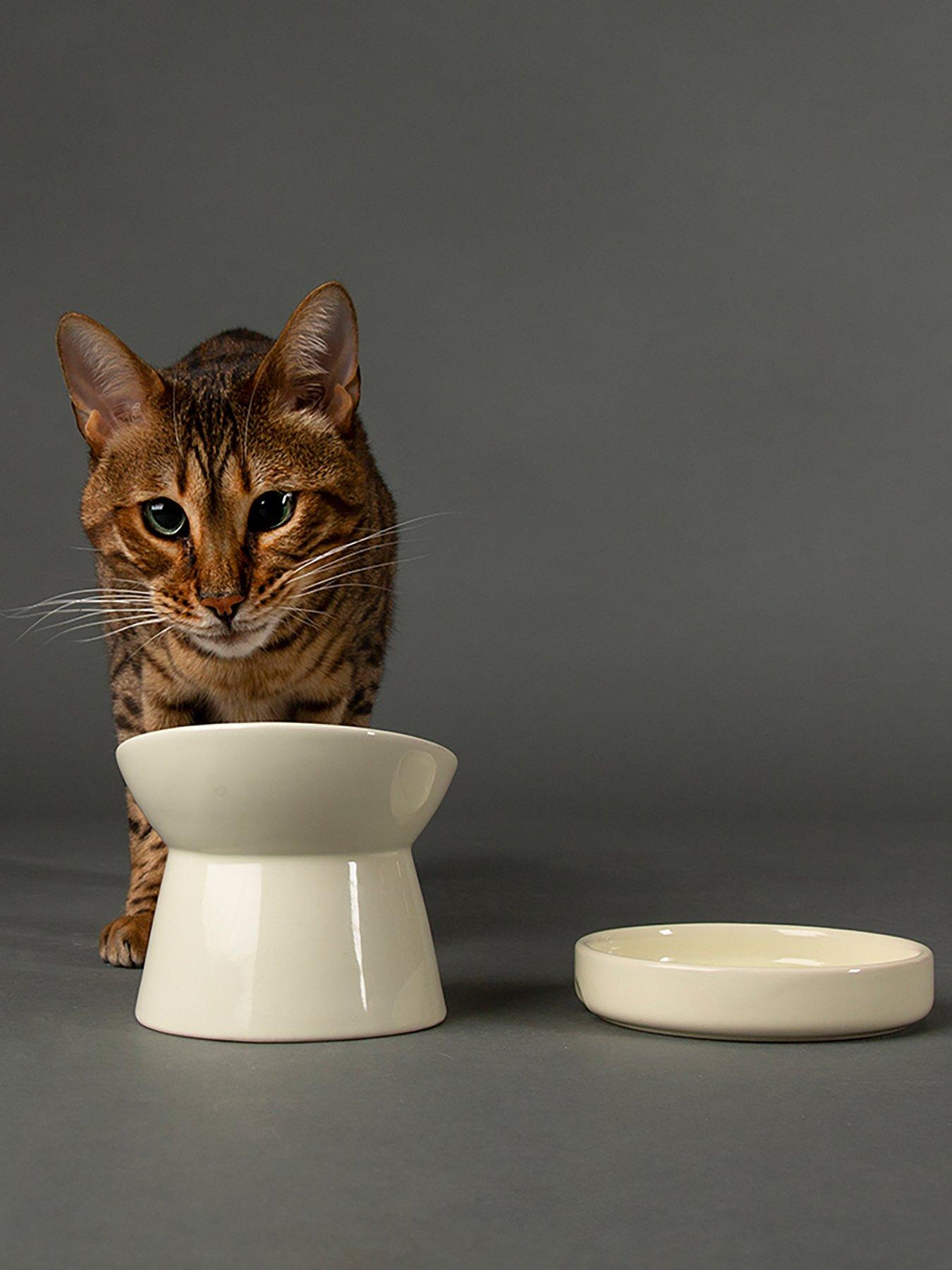 scruffs-icon-raised-cat-feeder-bowl-saucer-set-cream