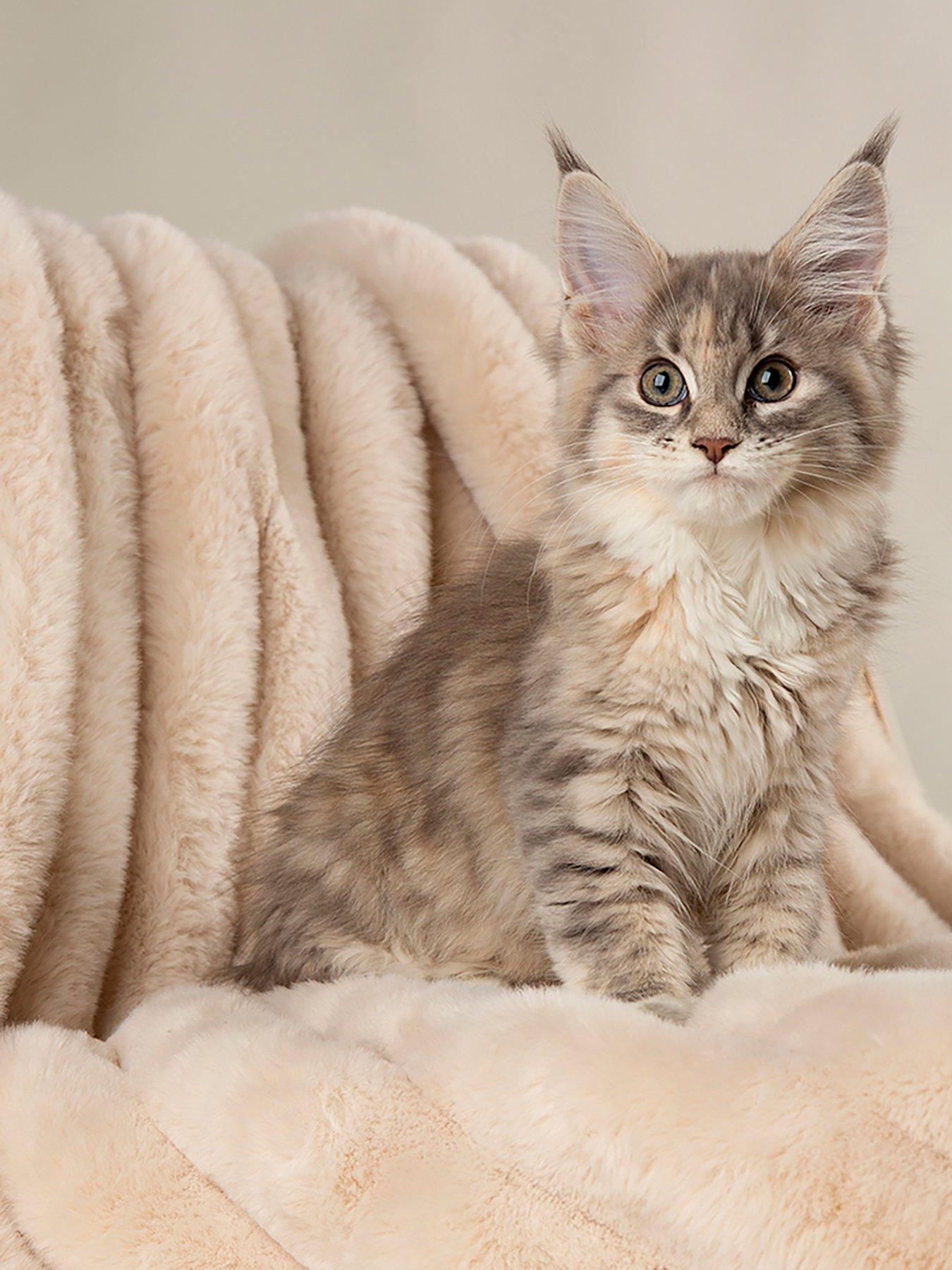 Image 4 of 7 of Scruffs Aspen Pet Blanket