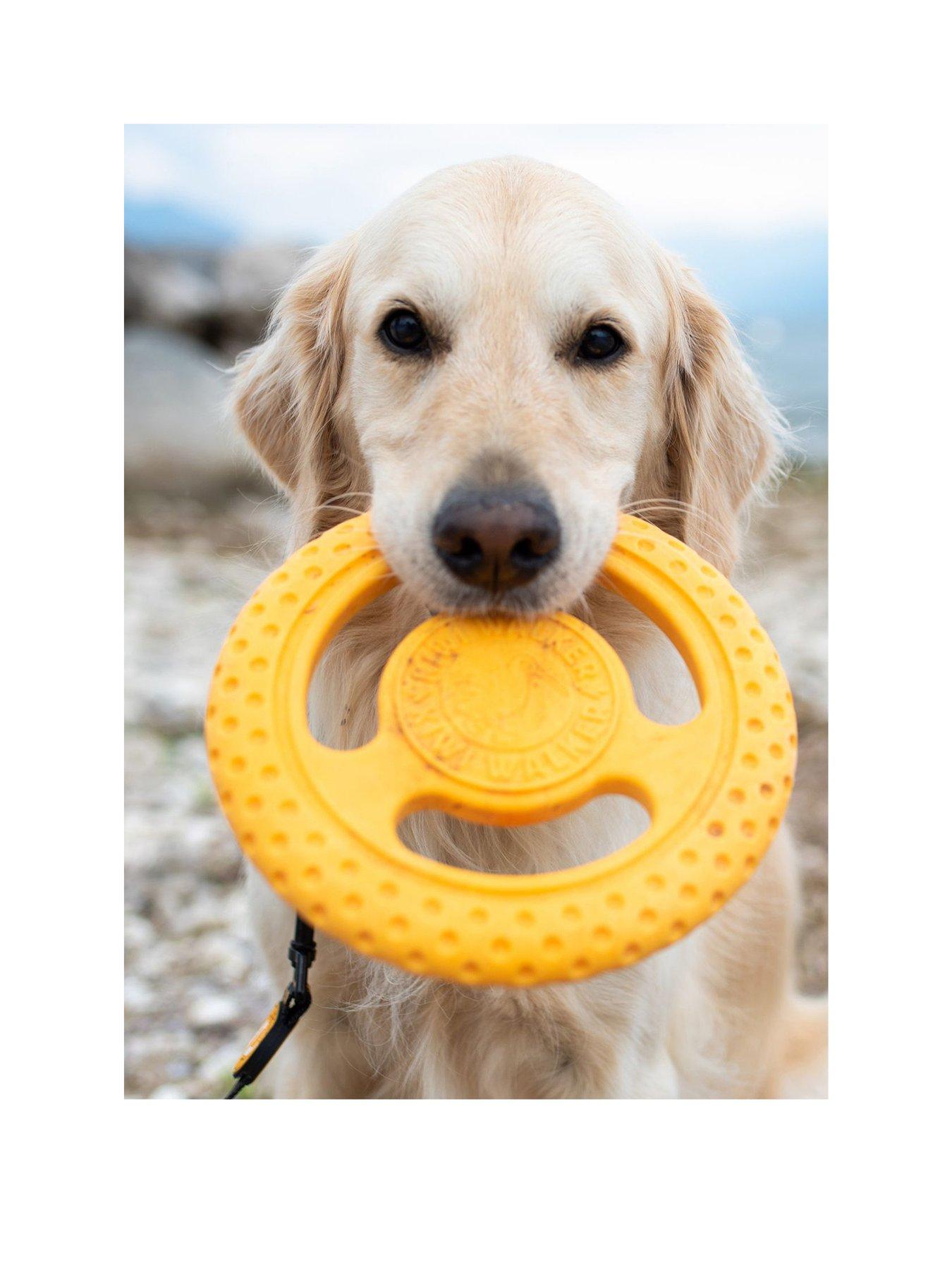 back image of kiwi-walker-lets-play-frisbee-orange