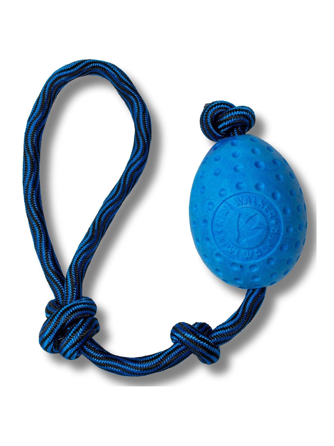 Kiwi Walker Let's play! EGG - Blue