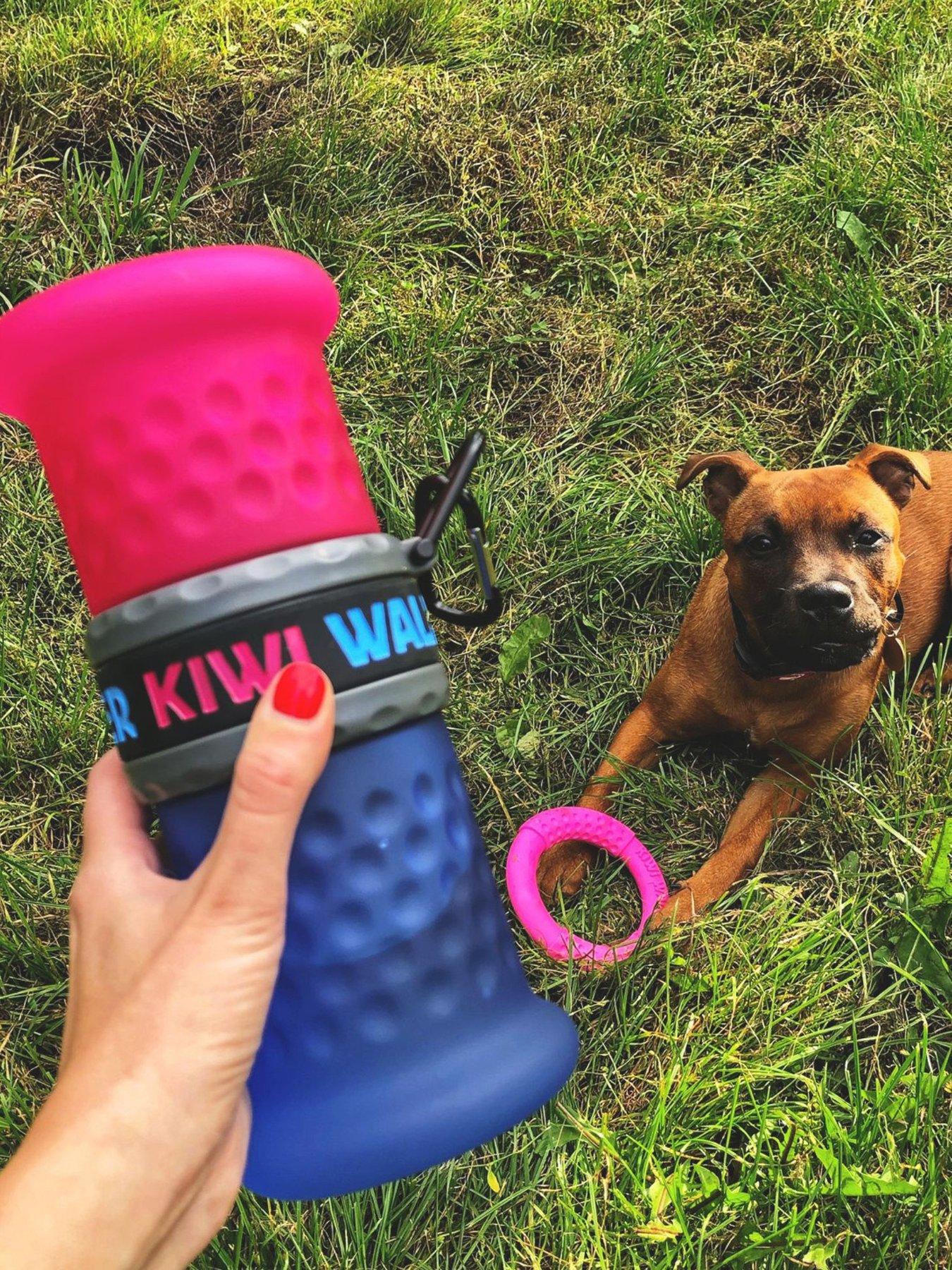  image of kiwi-walker-travel-bottle-2in1-pinkblue
