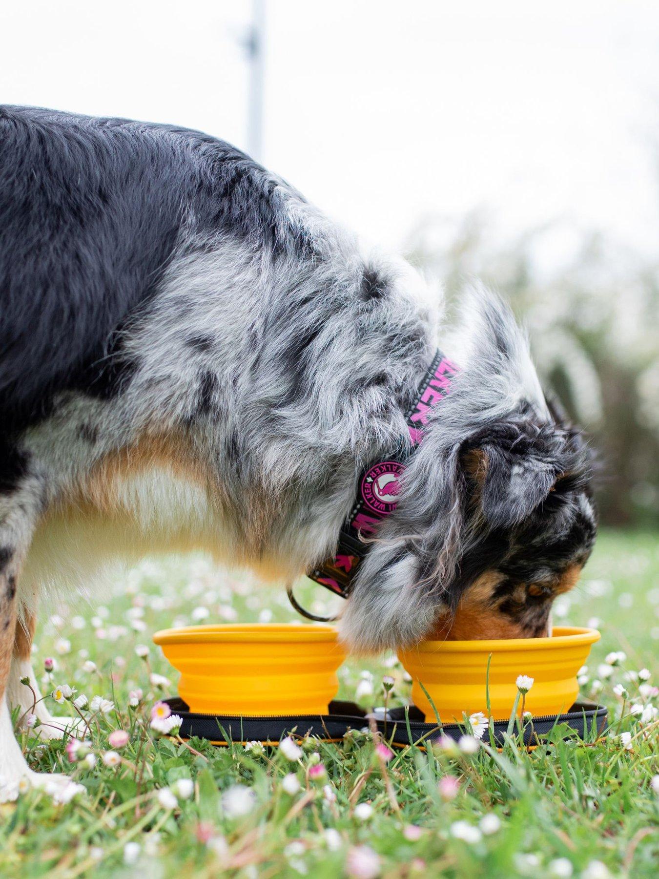  image of kiwi-walker-double-travel-bowl-slowfeeder-orange
