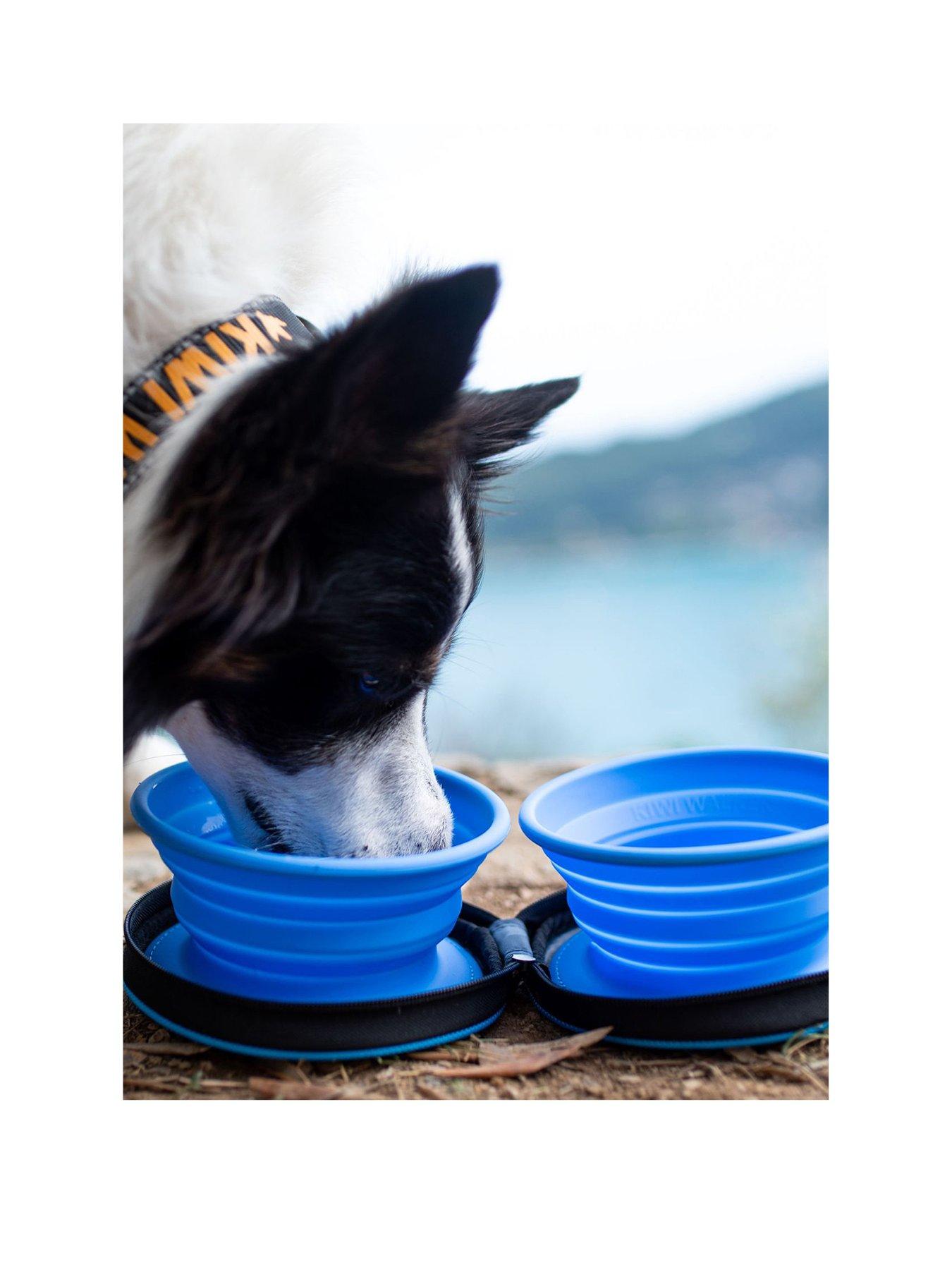back image of kiwi-walker-double-travel-bowl-slowfeeder-blue