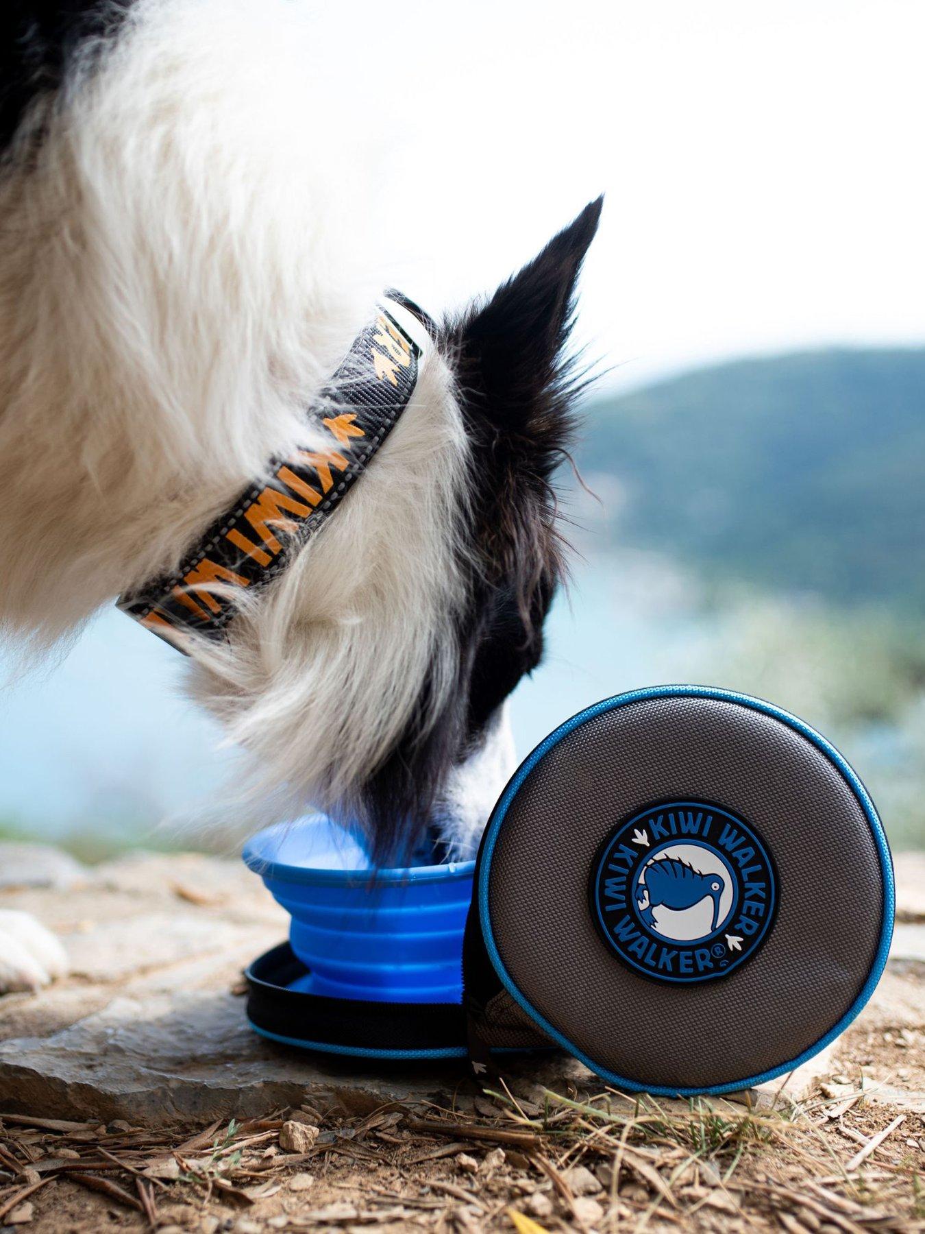  image of kiwi-walker-double-travel-bowl-slowfeeder-blue